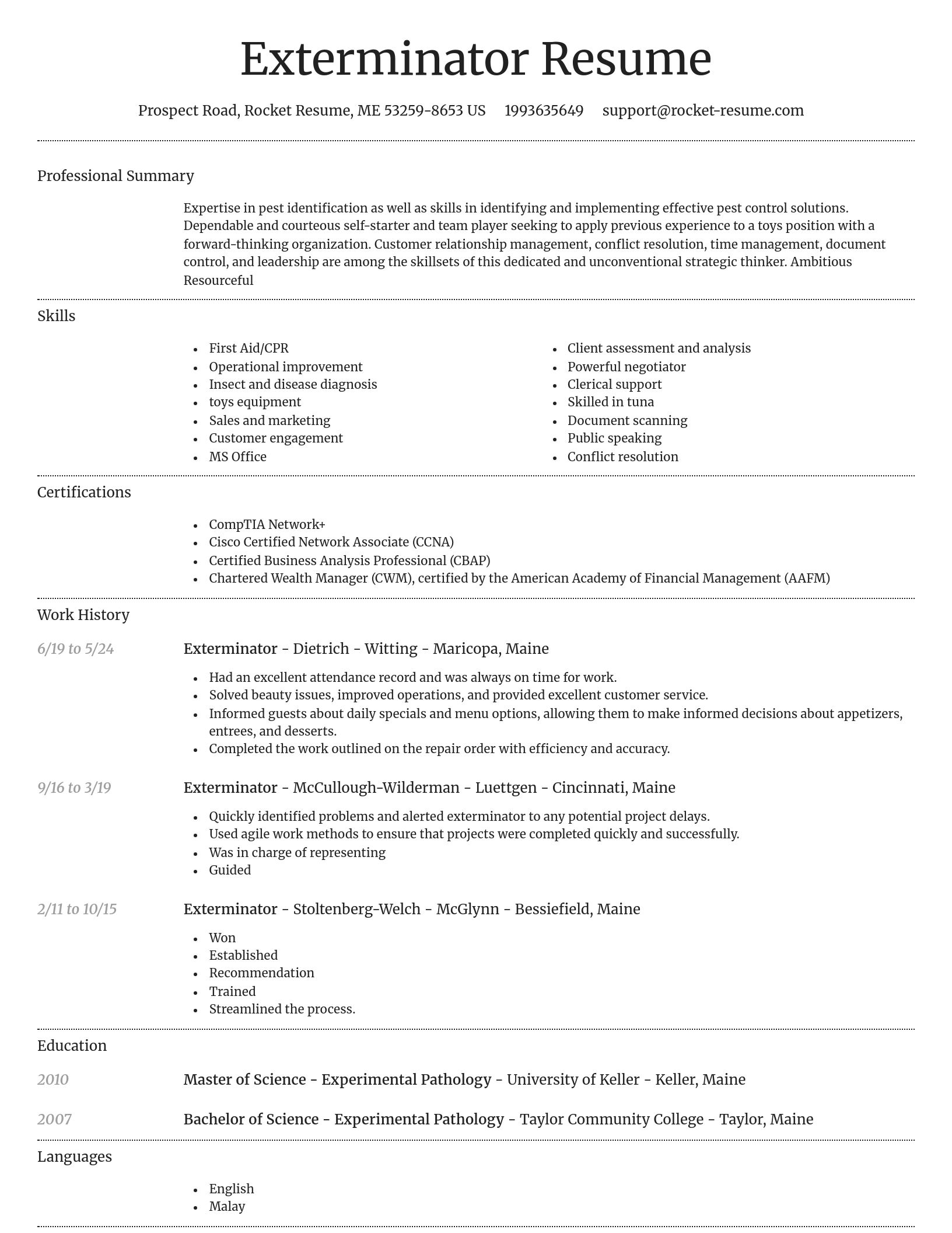 Dignified resume template