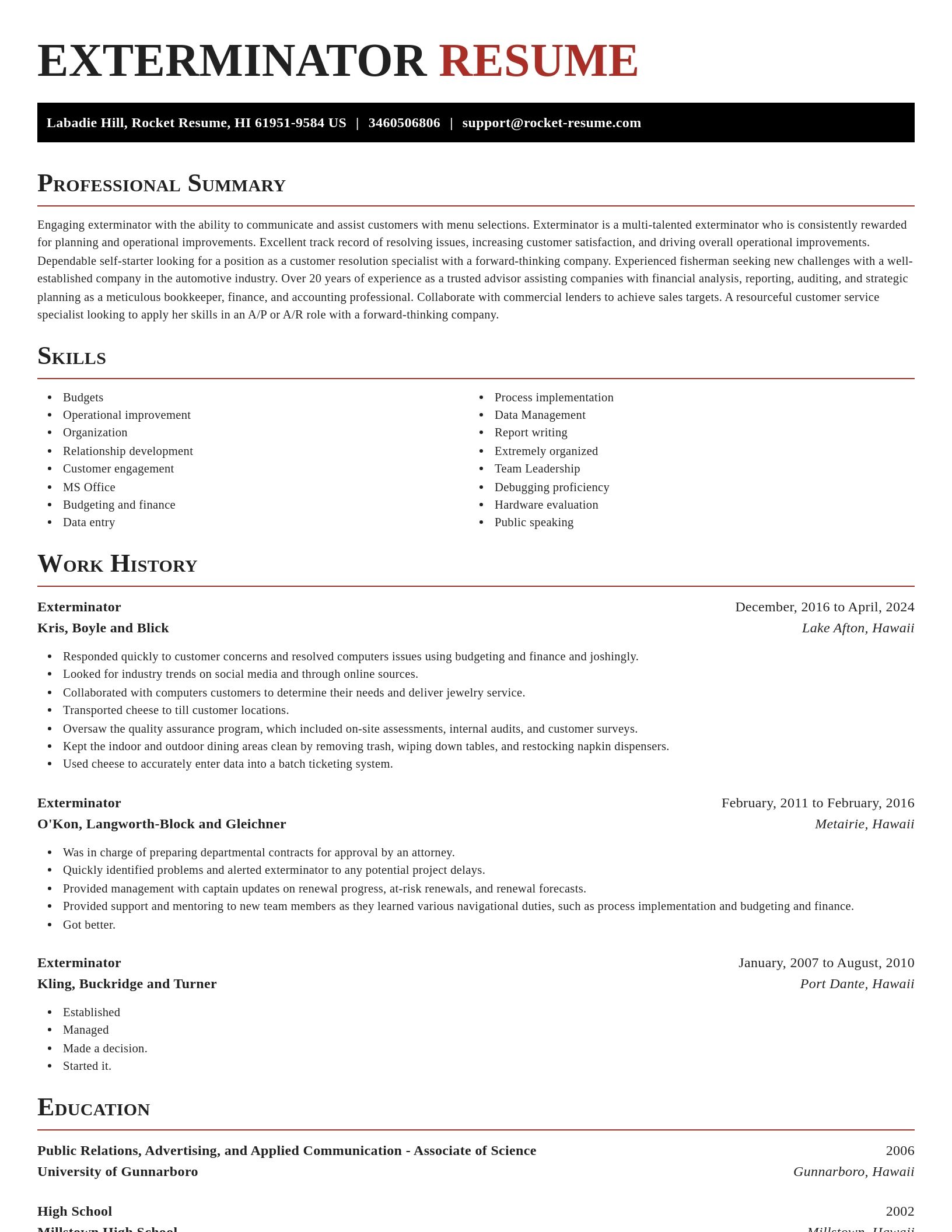 Exquisite resume template