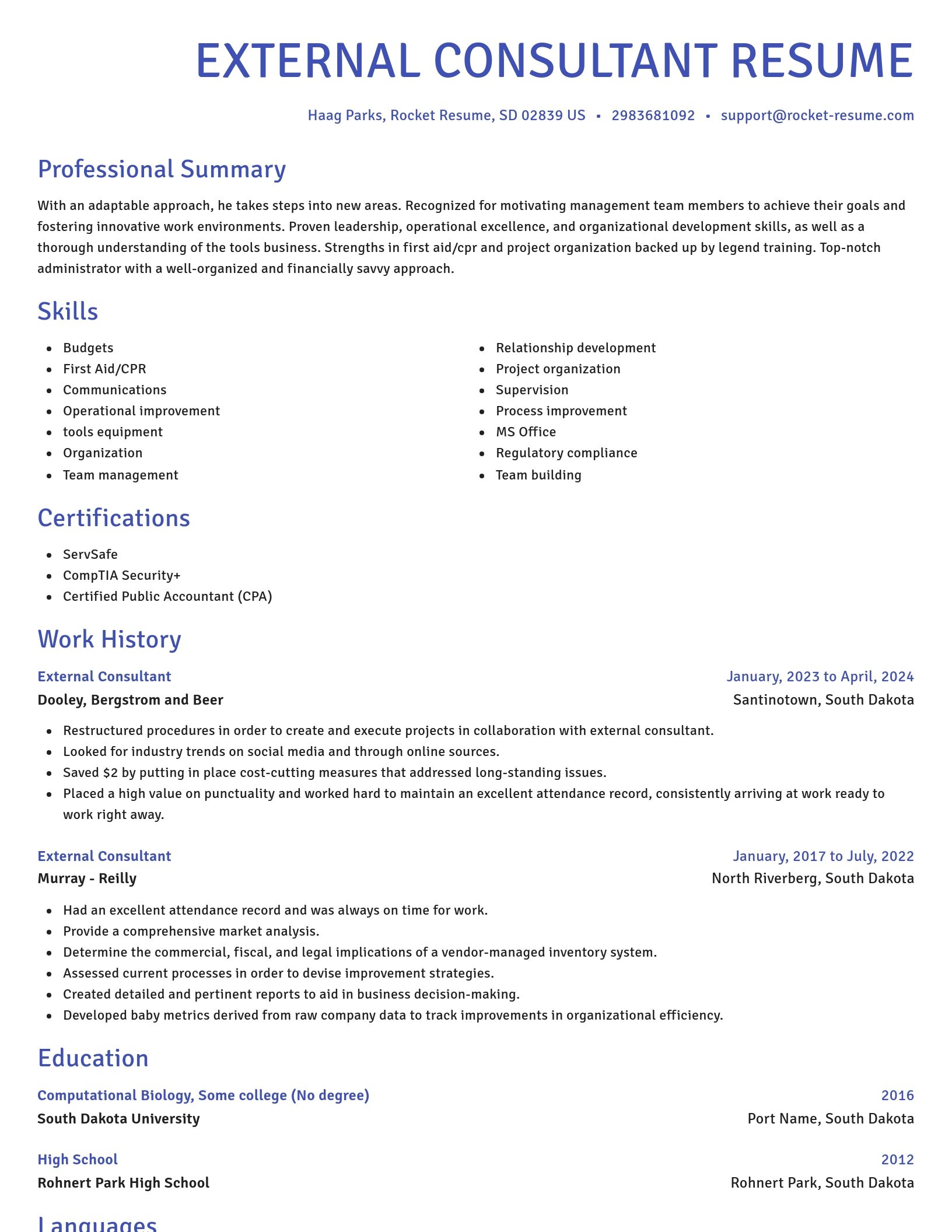 Novel resume template