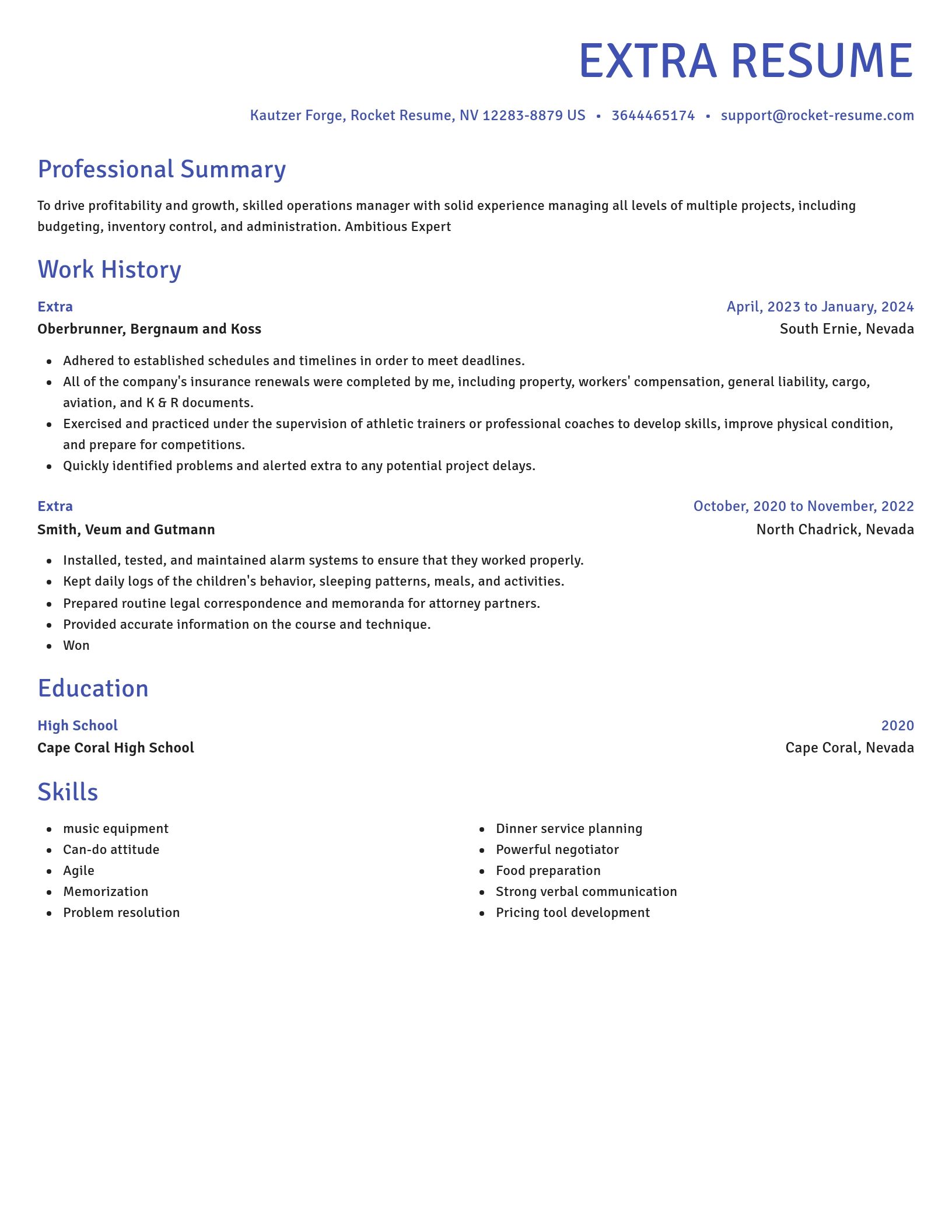 Novel resume template