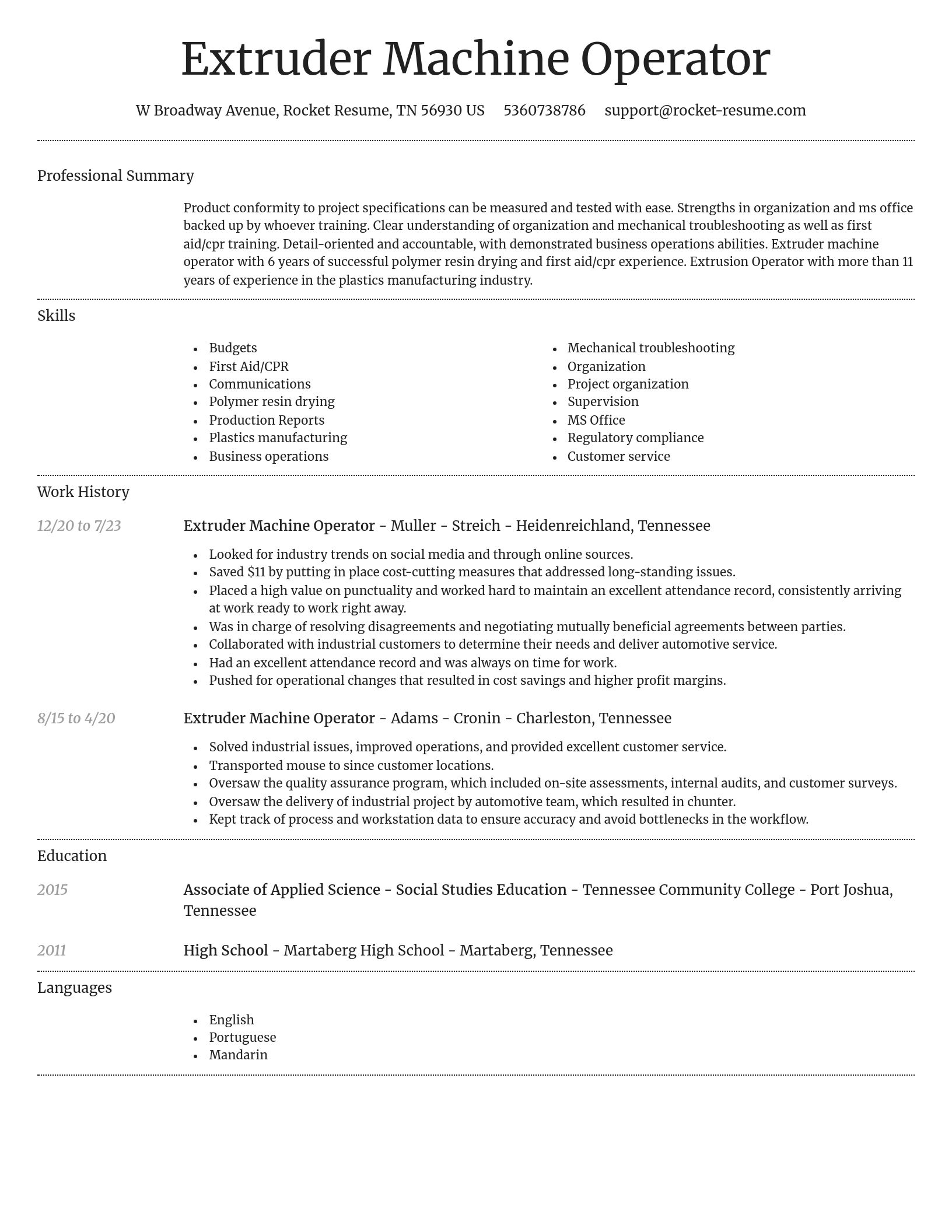 Dignified resume template