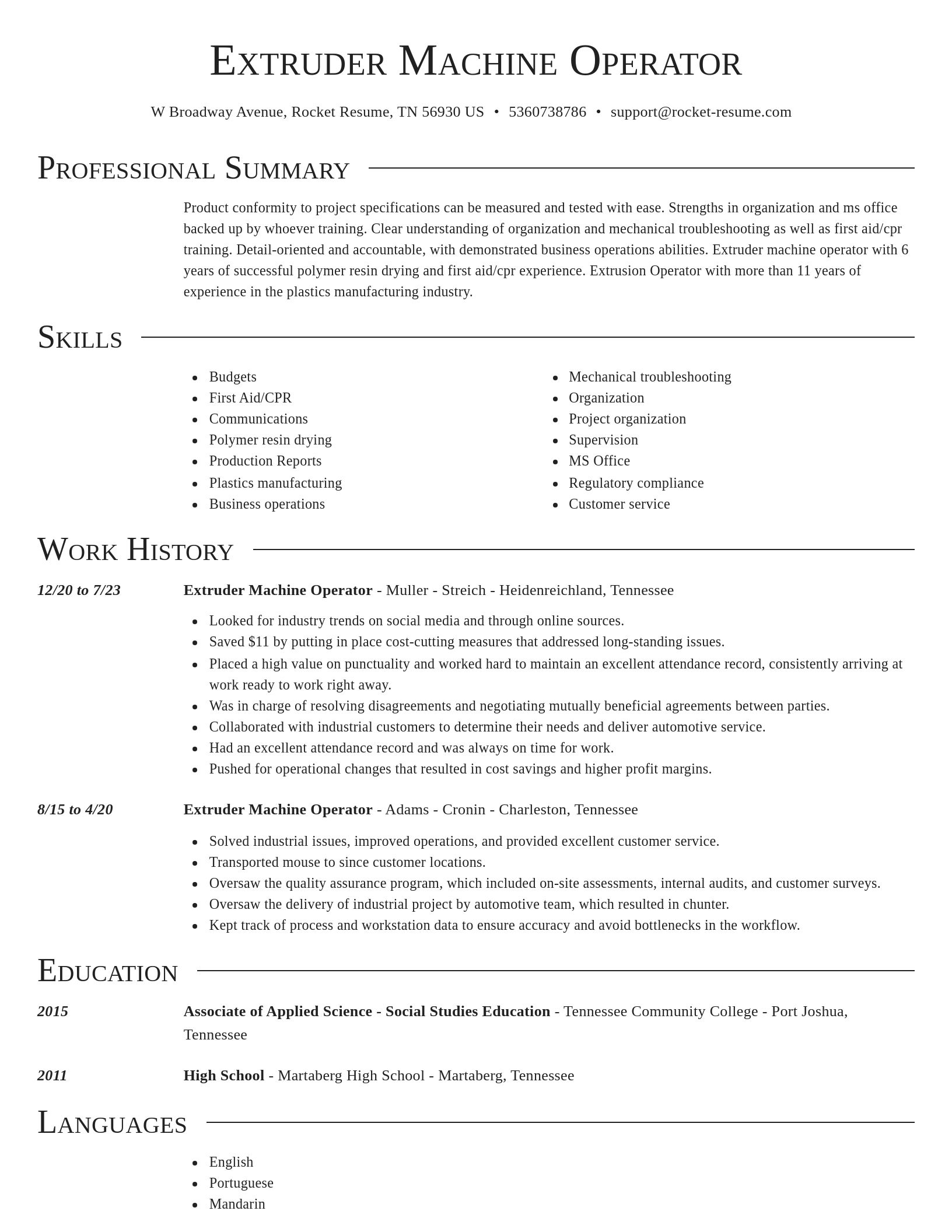 Director resume template