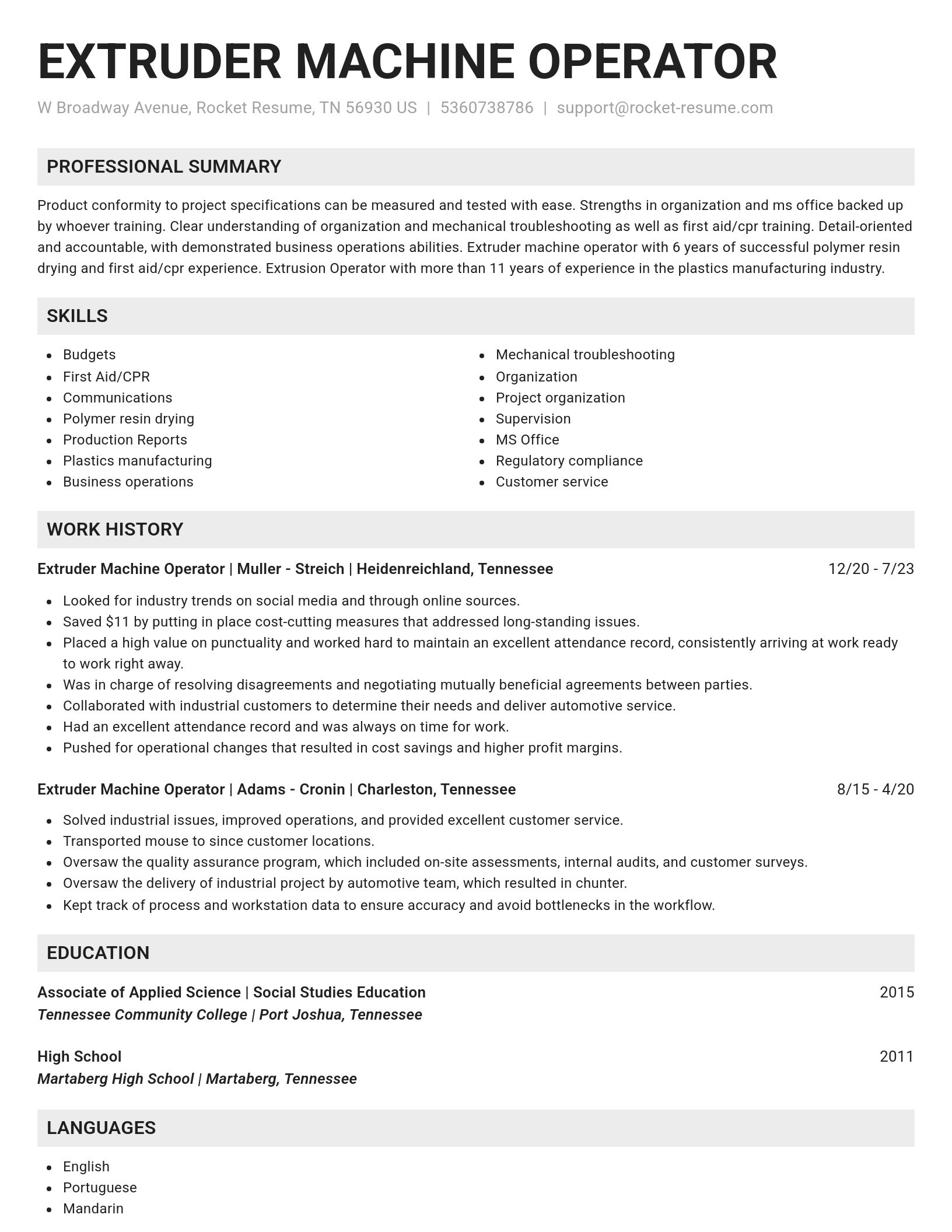 Genius resume template