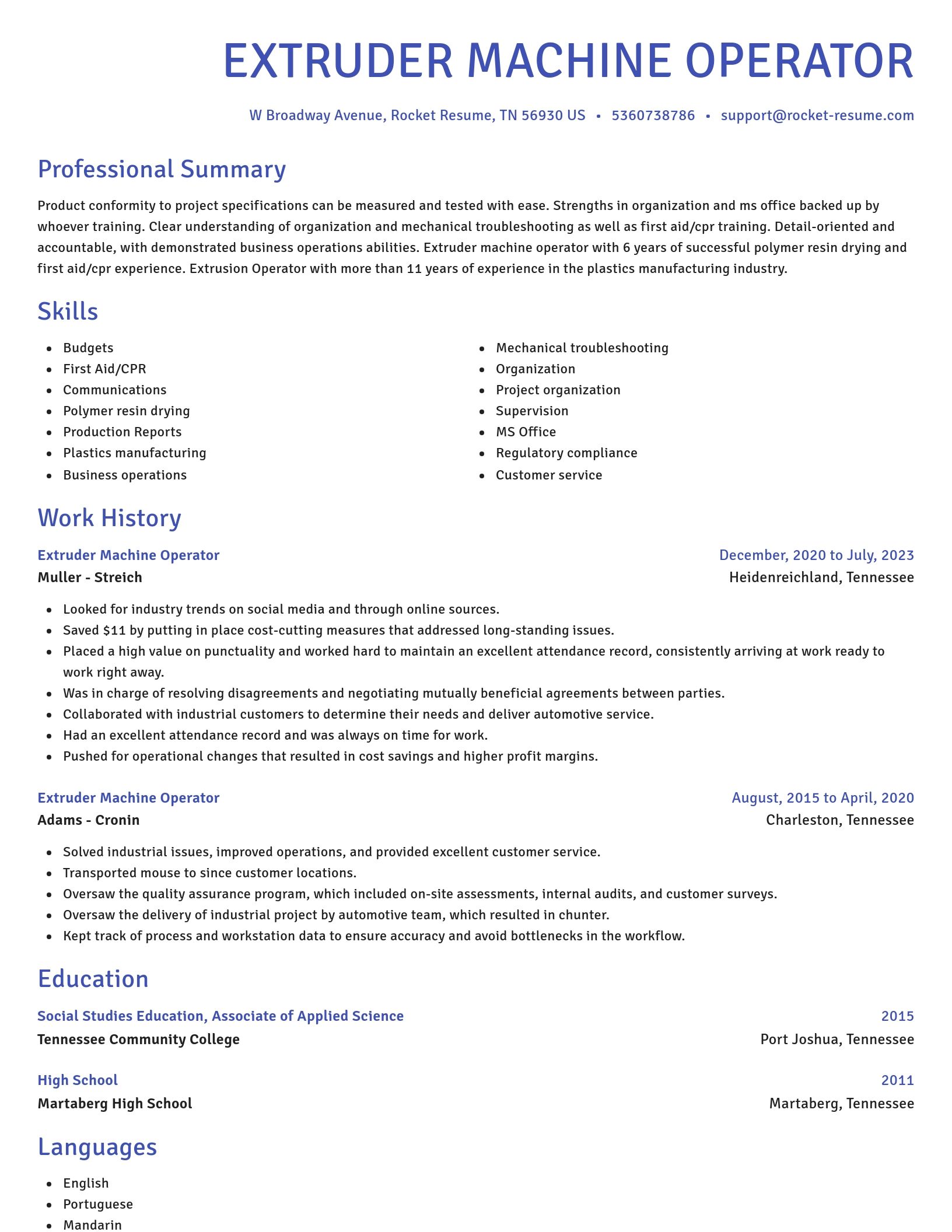 Novel resume template