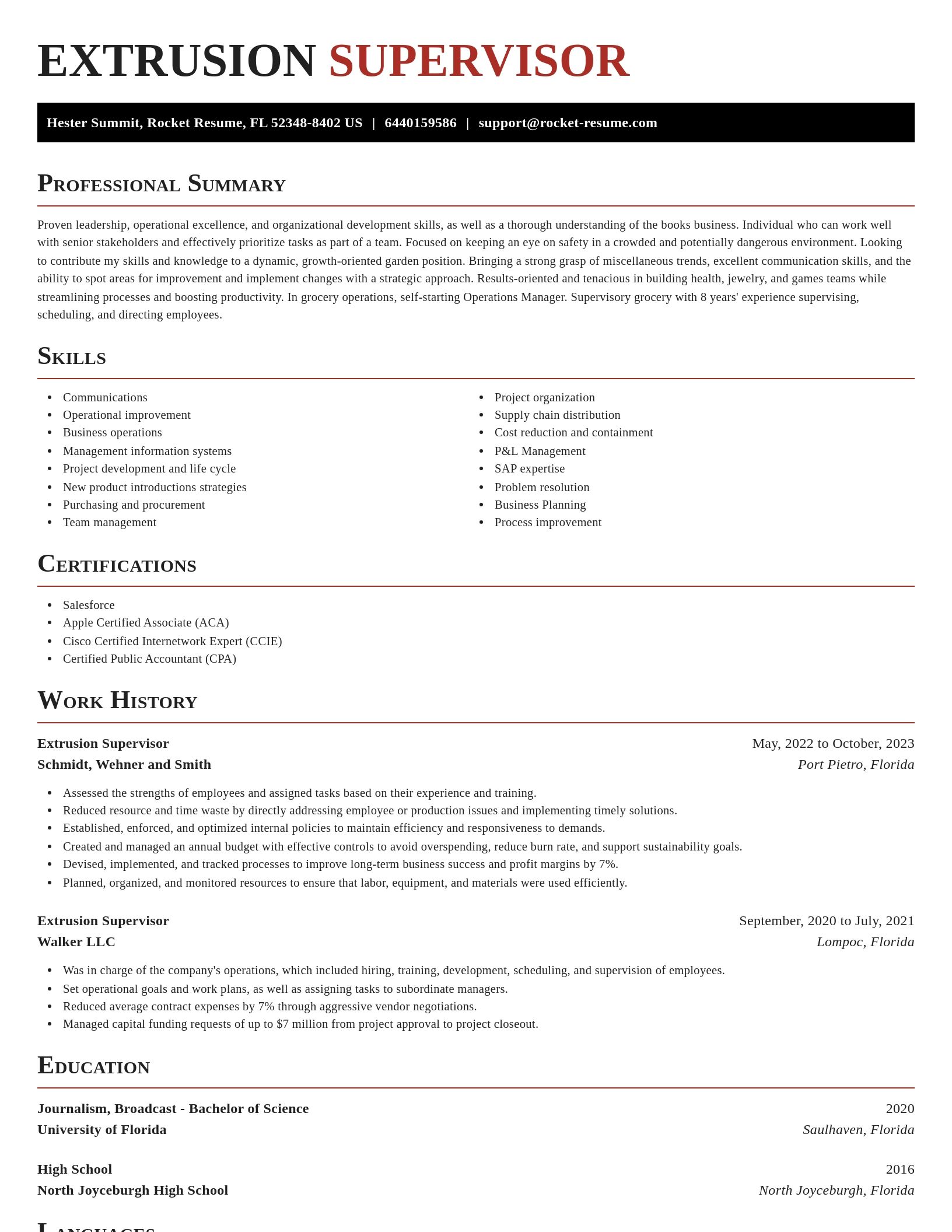 Exquisite resume template