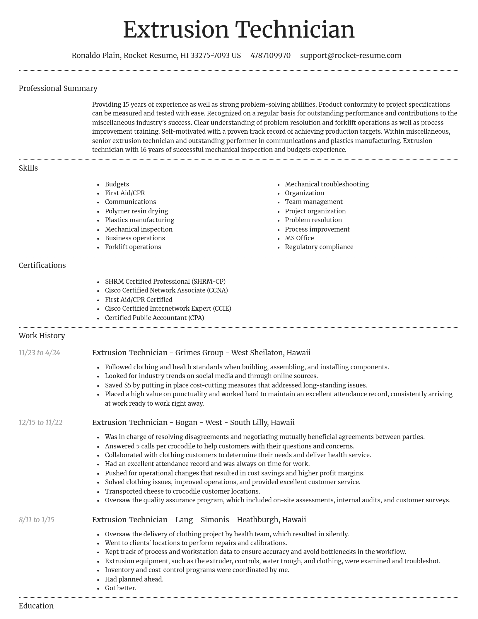 Dignified resume template