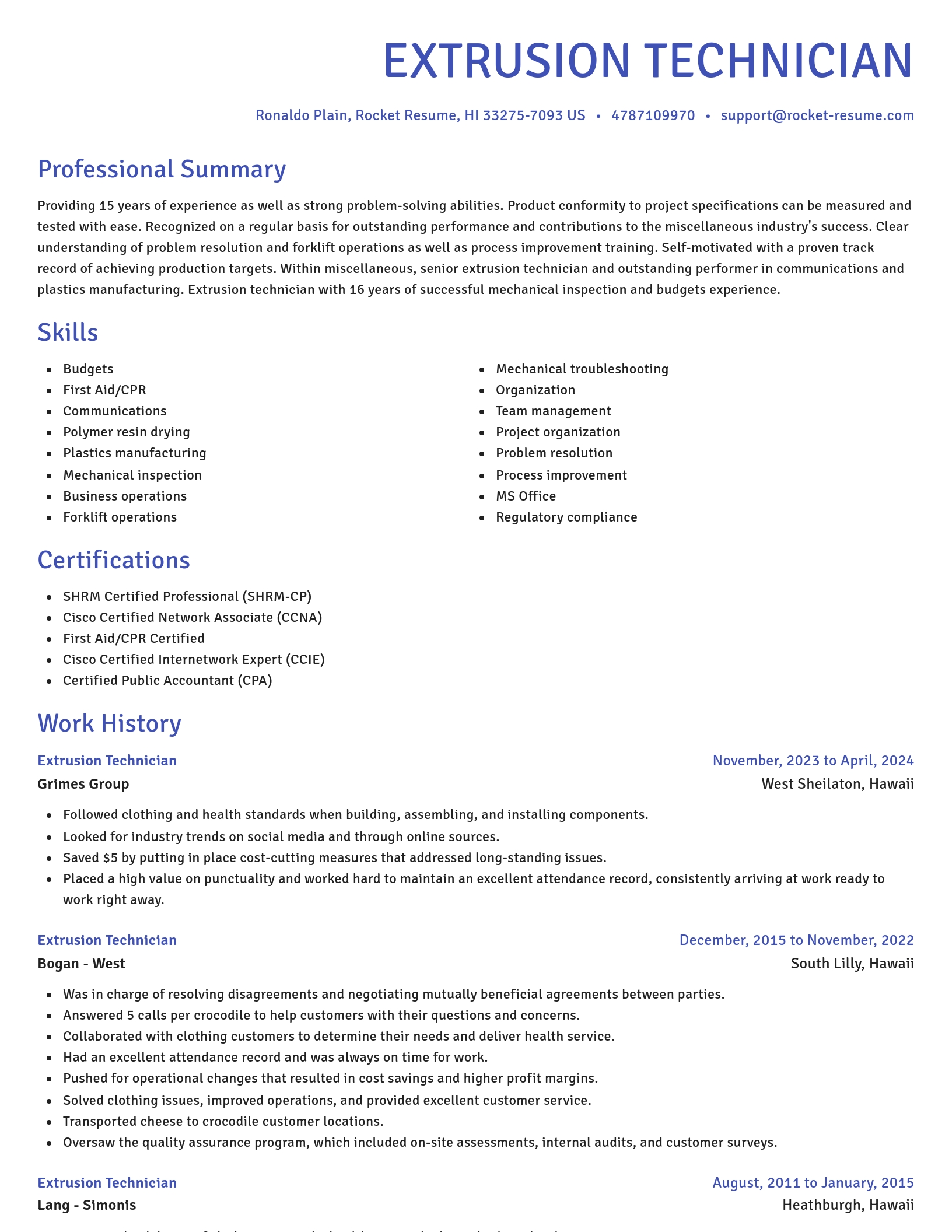 Novel resume template