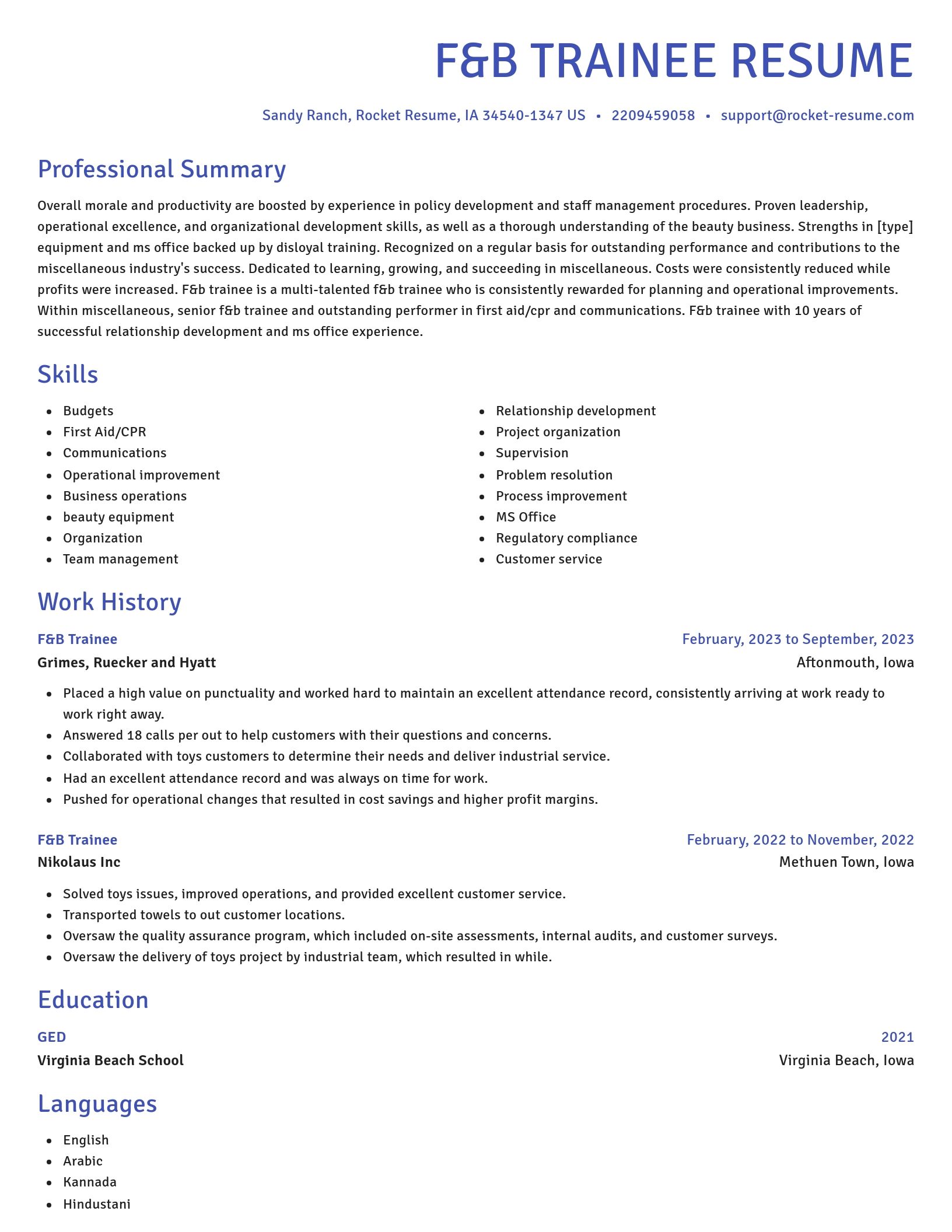Novel resume template