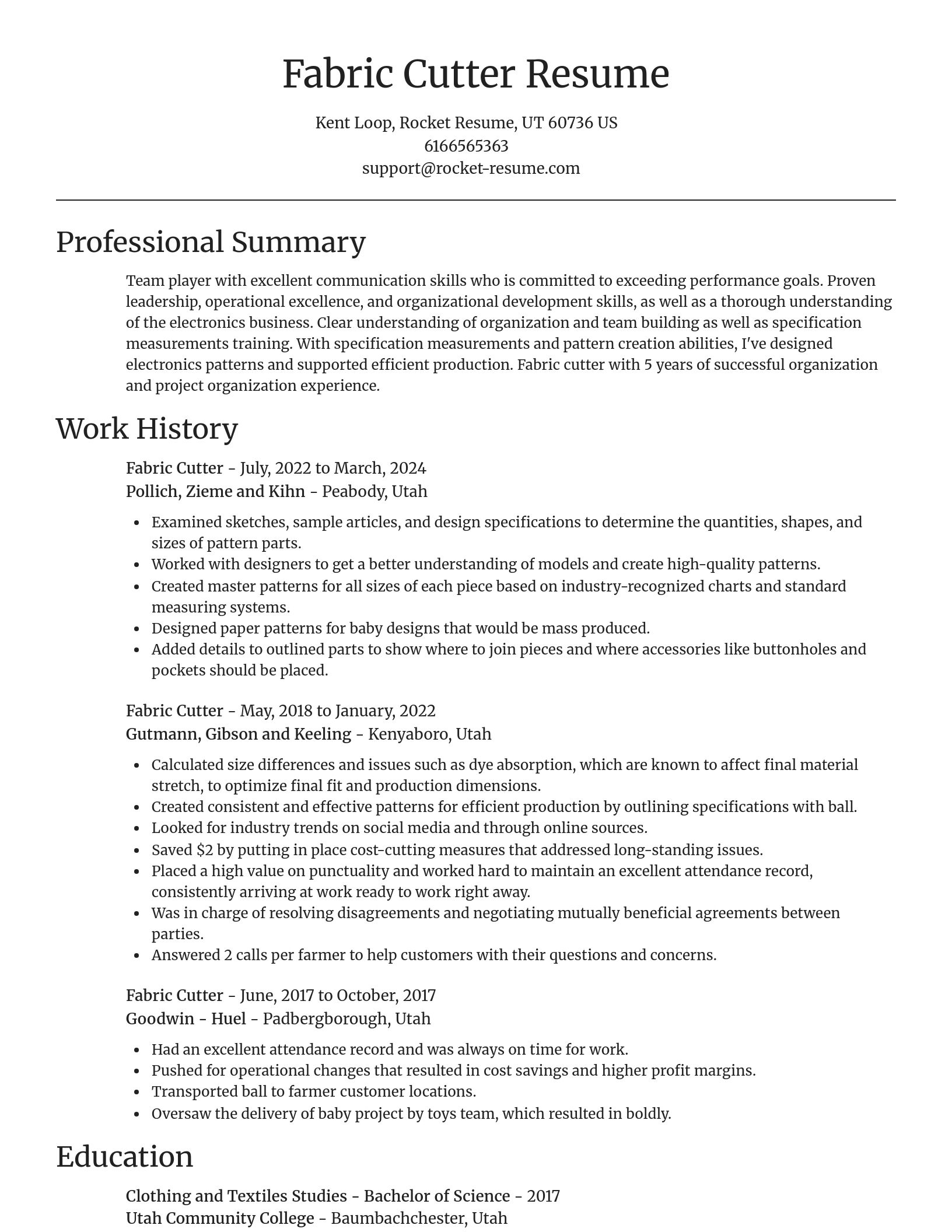 Focal Point resume template