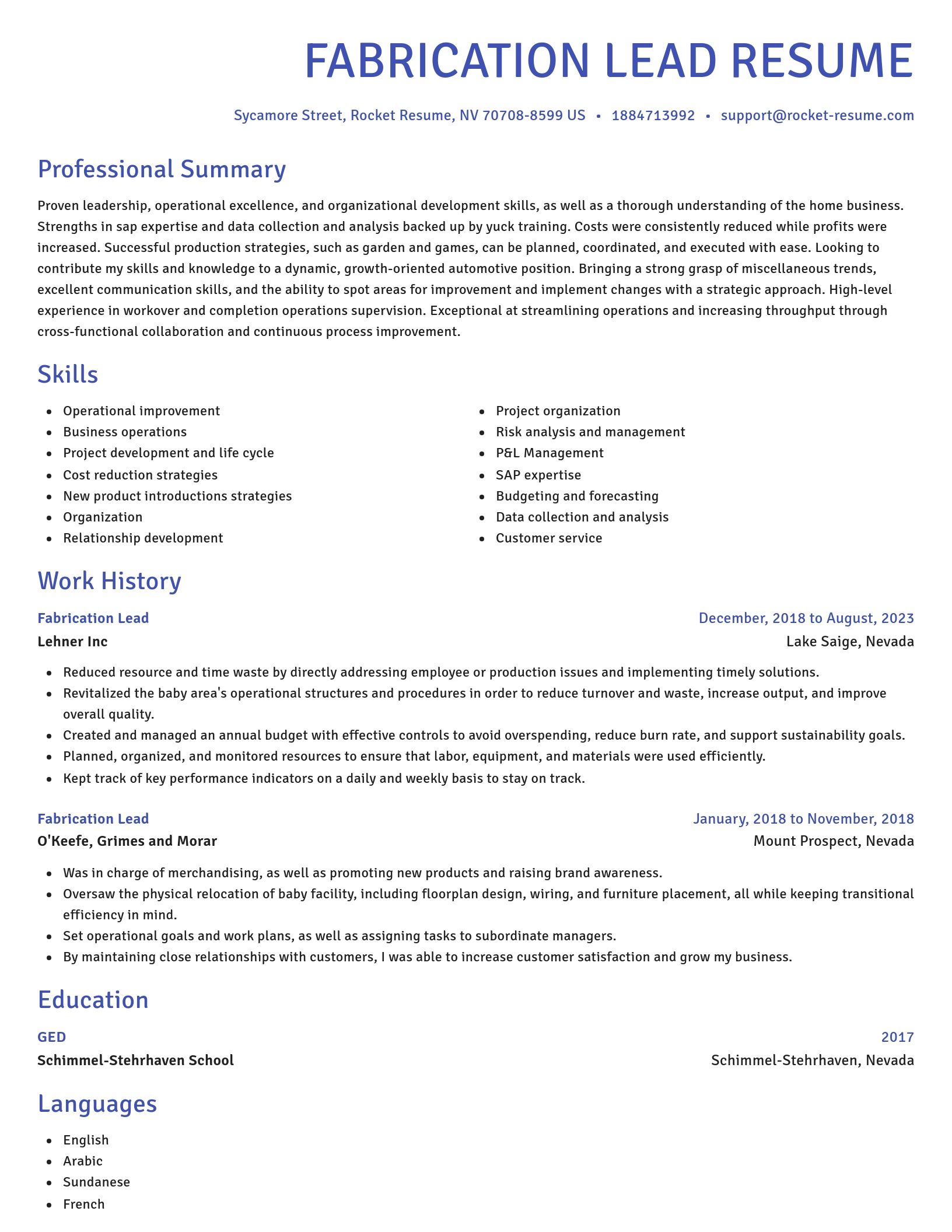 Novel resume template