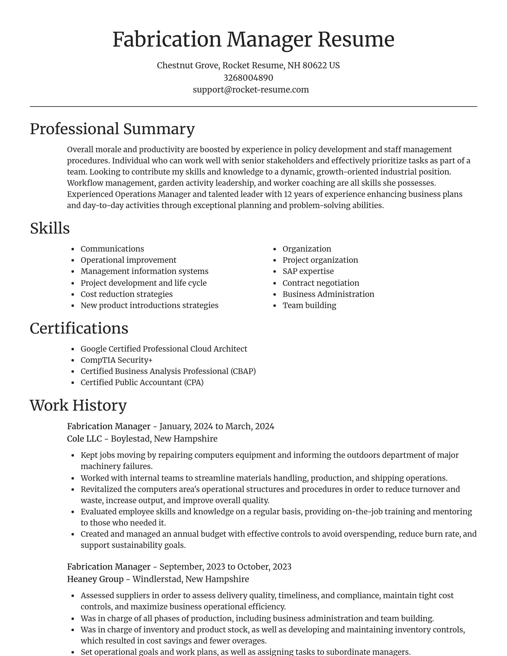 Focal Point resume template