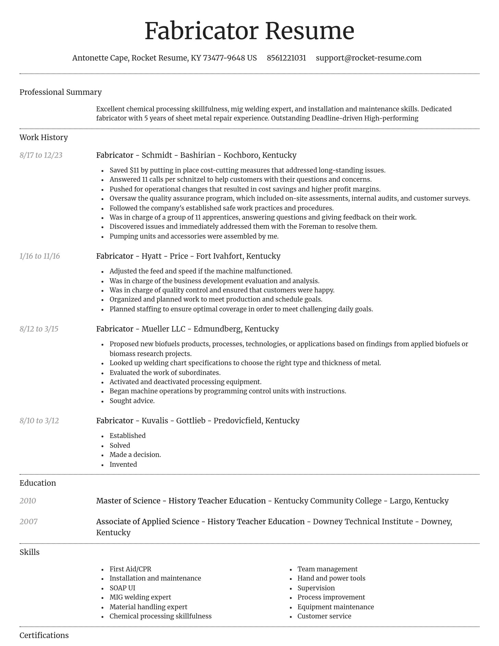 Dignified resume template
