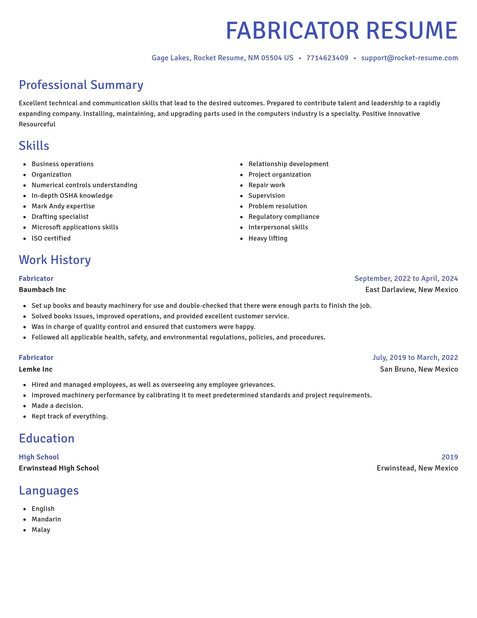 Novel resume template
