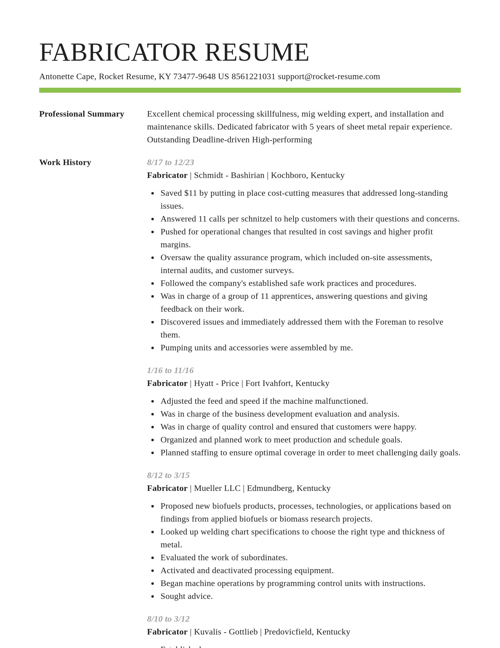 Smart resume template