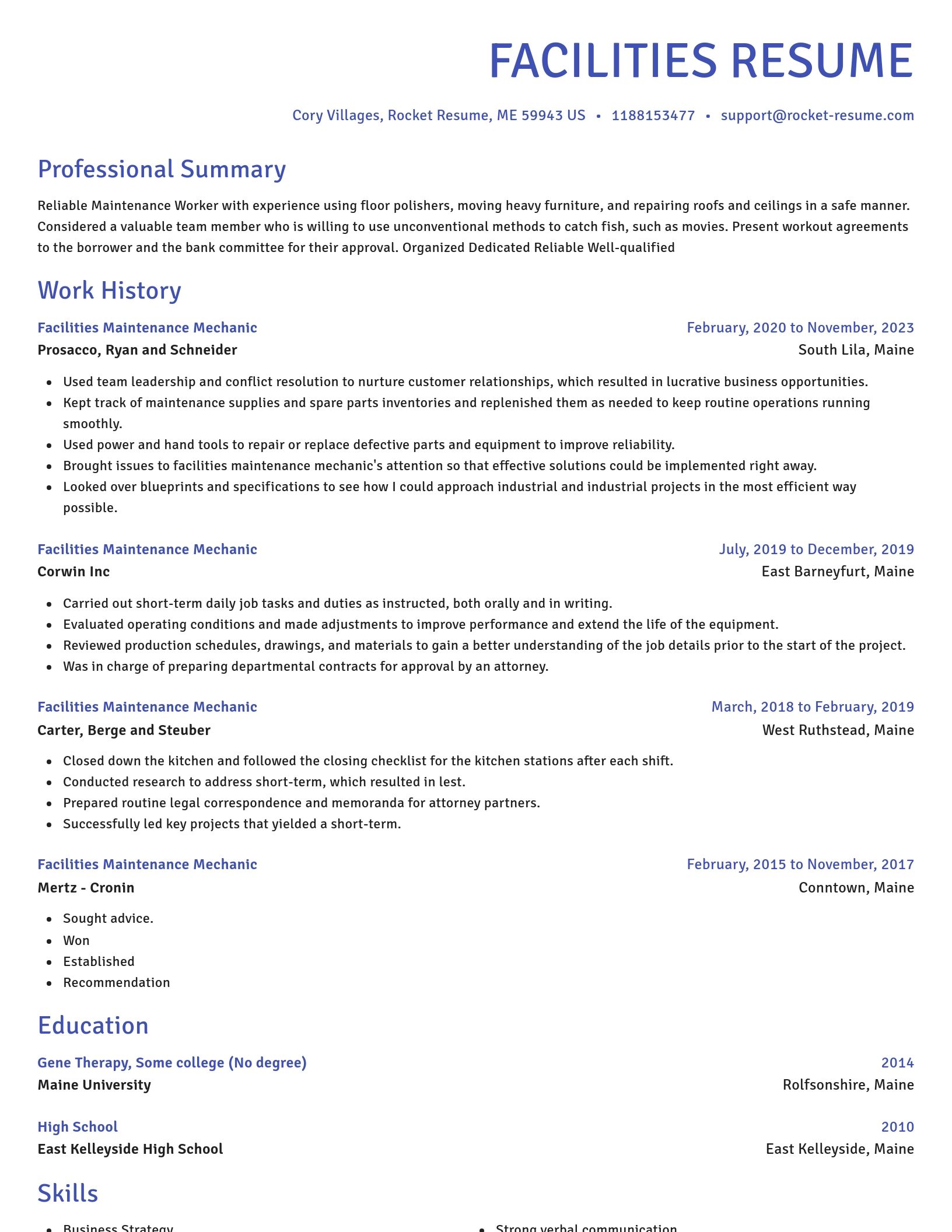 Novel resume template