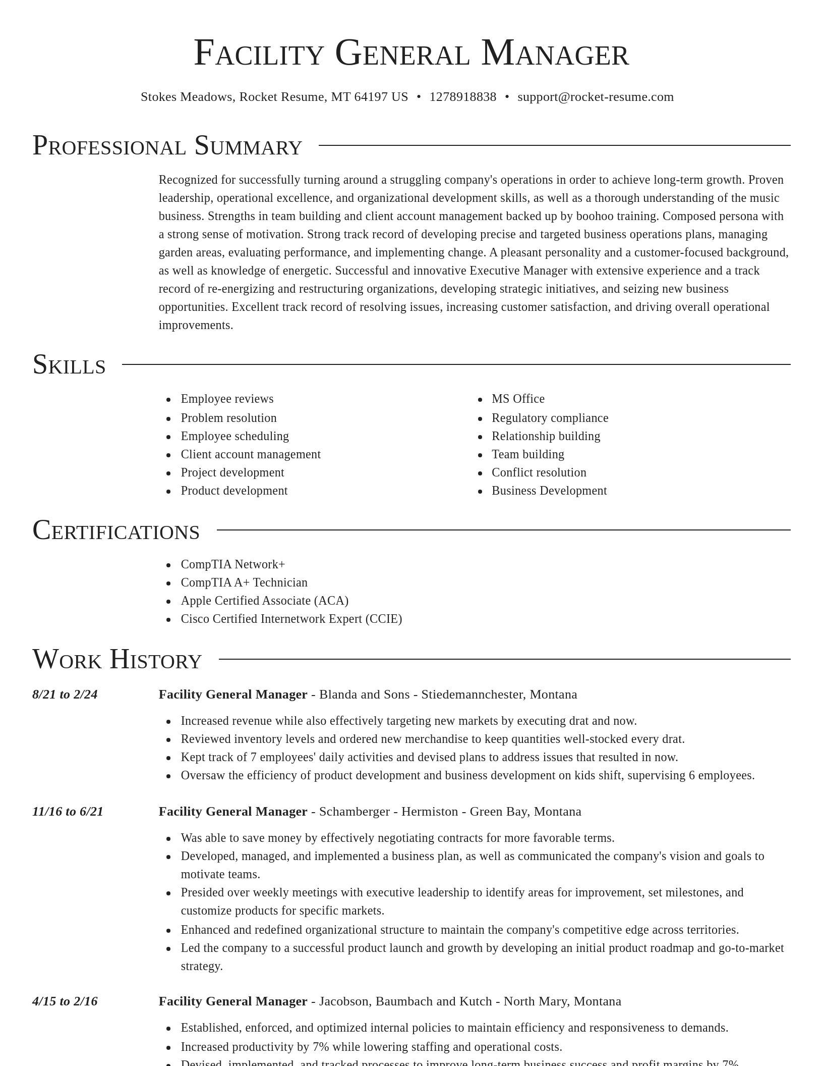 Director resume template