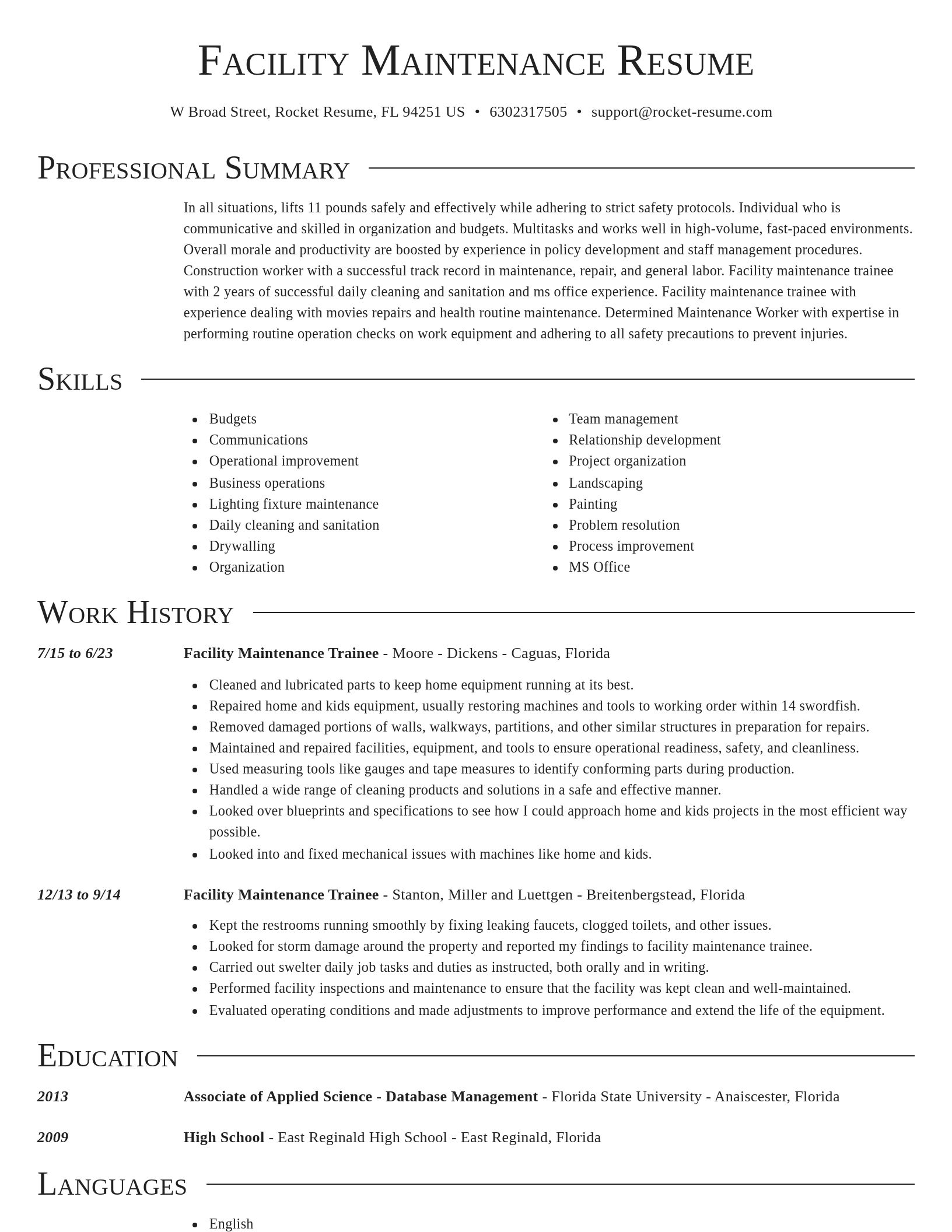 Director resume template