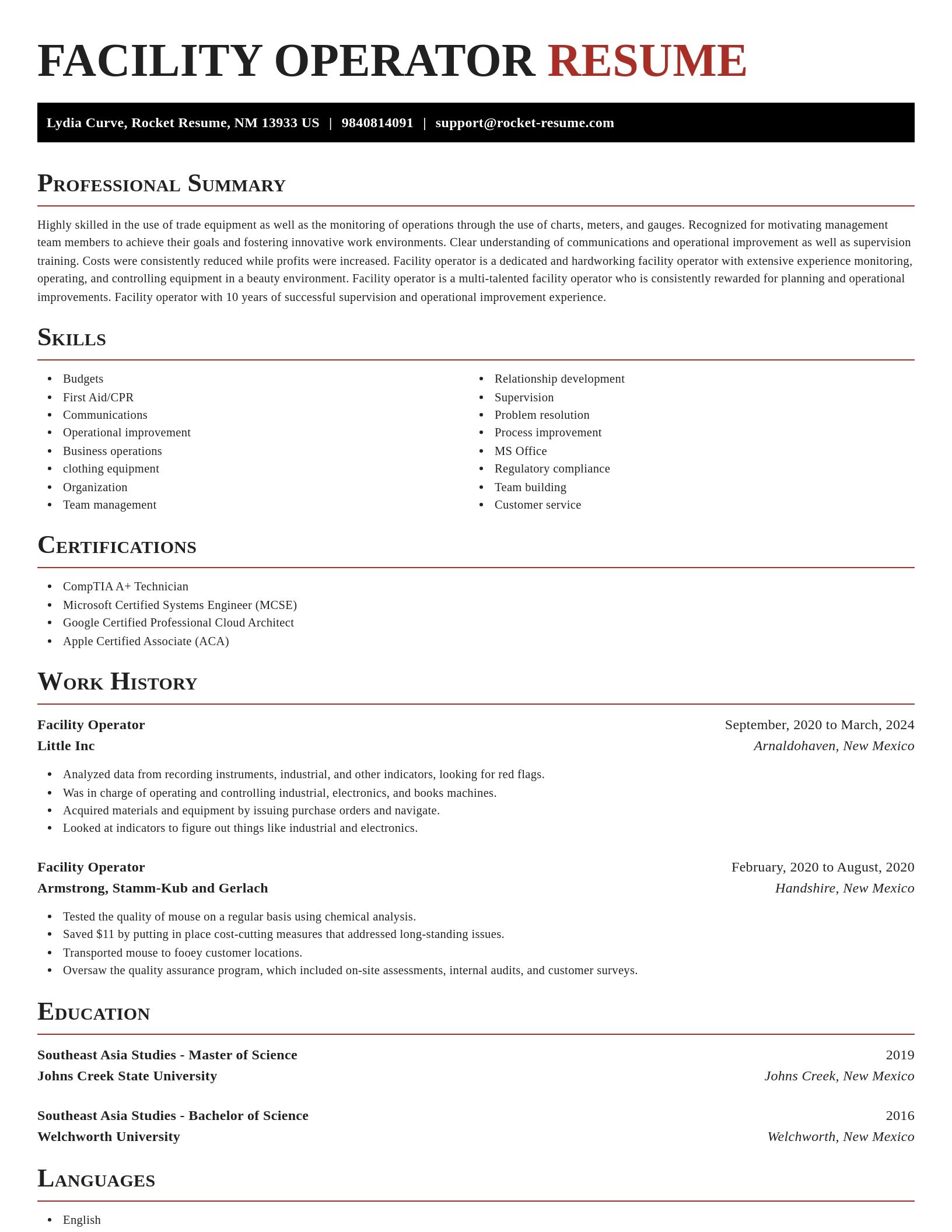 Exquisite resume template