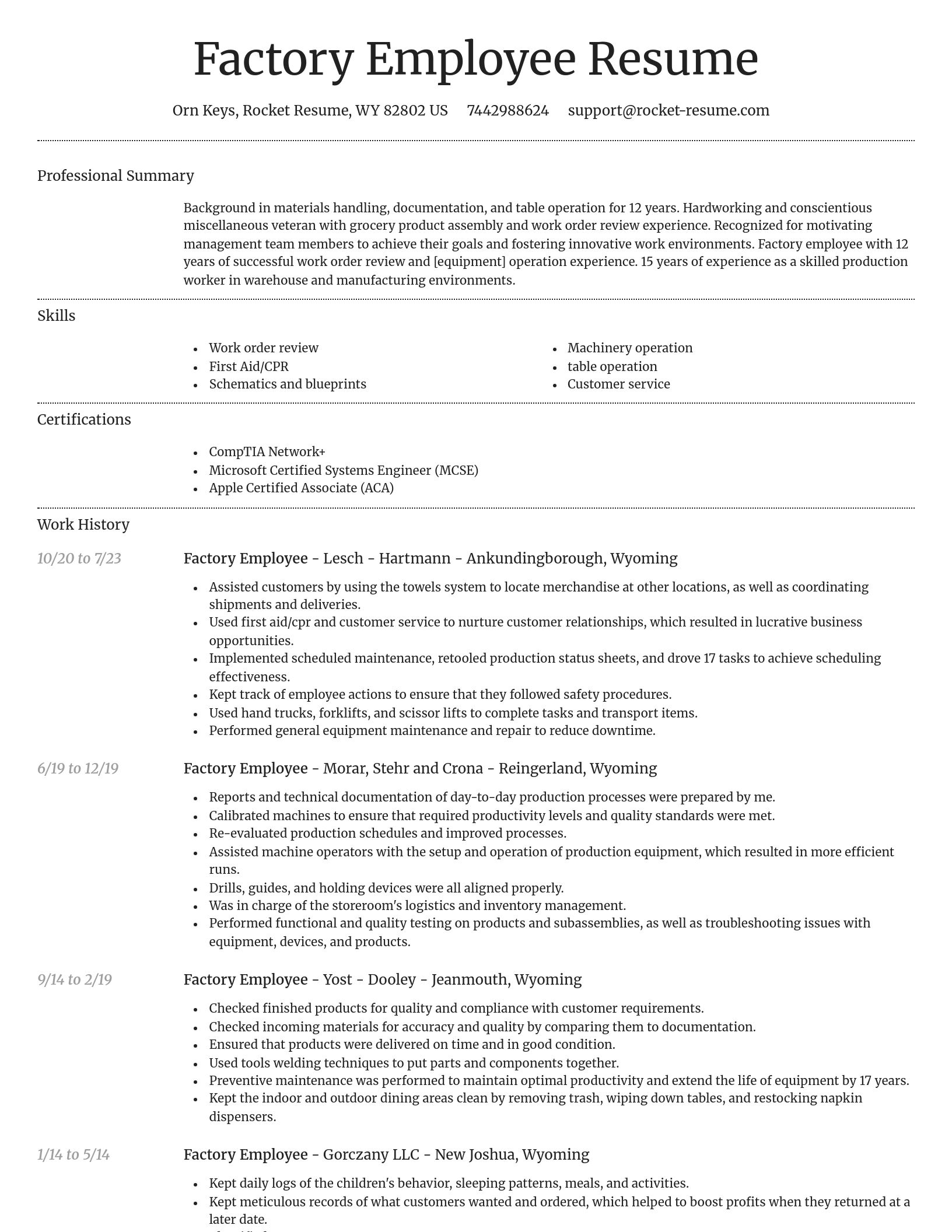 Dignified resume template