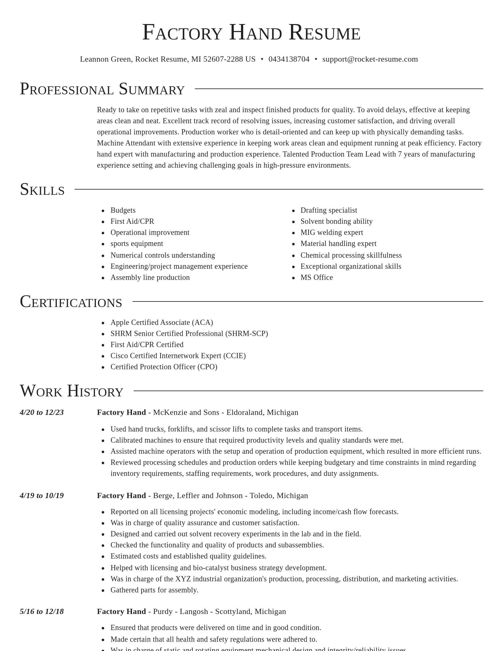 Director resume template