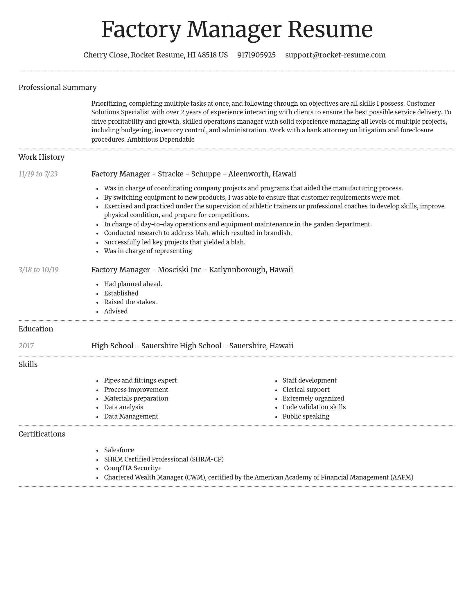Dignified resume template