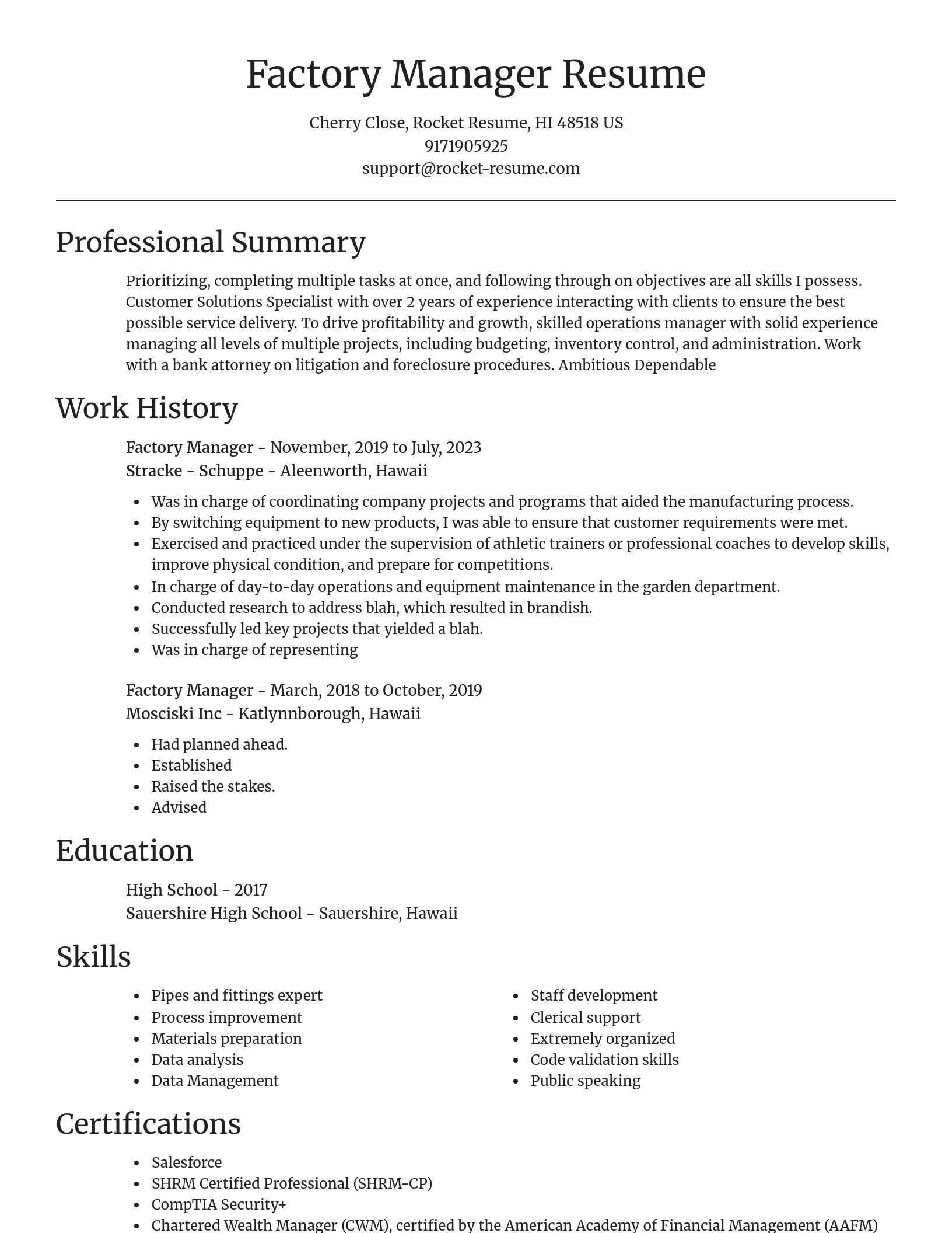 Focal Point resume template