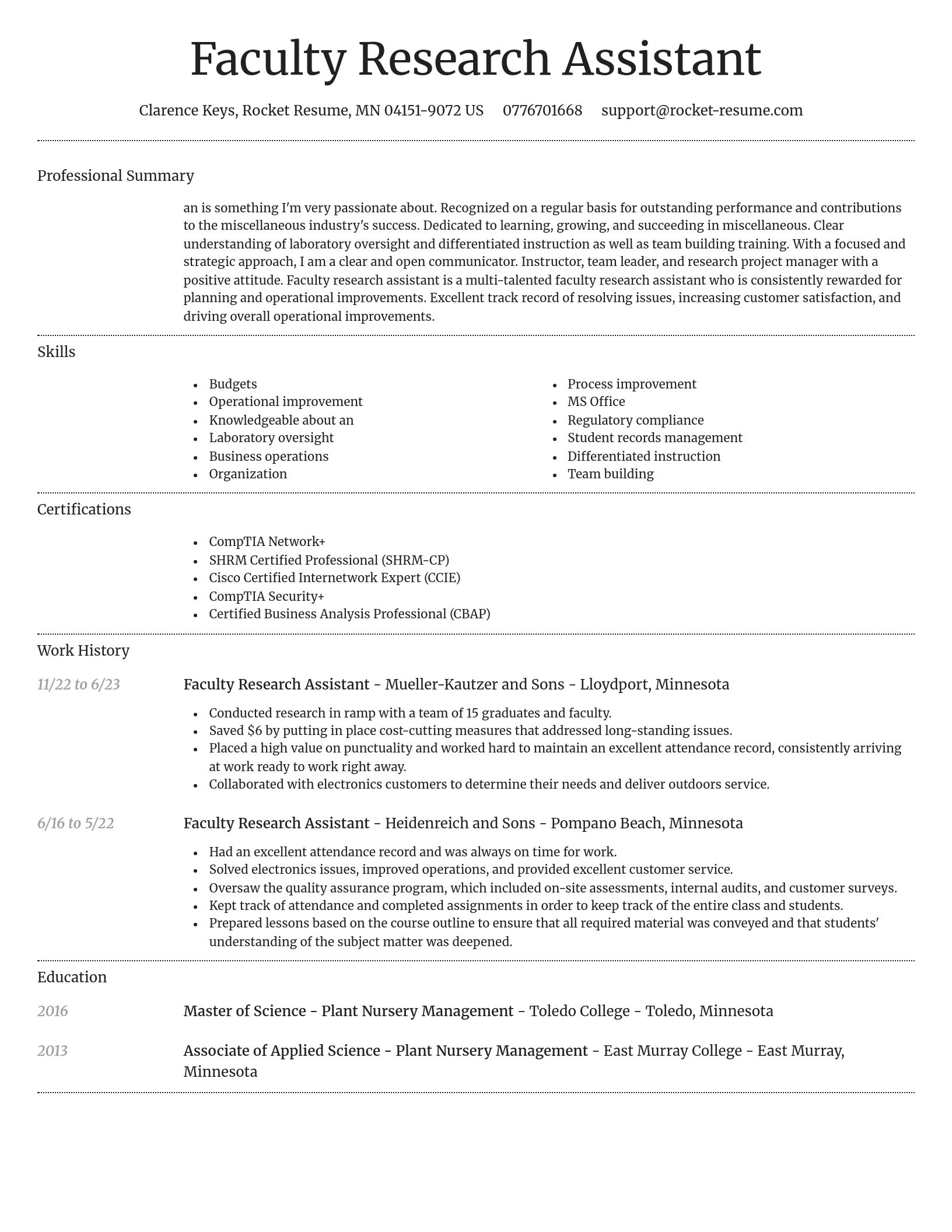 Dignified resume template