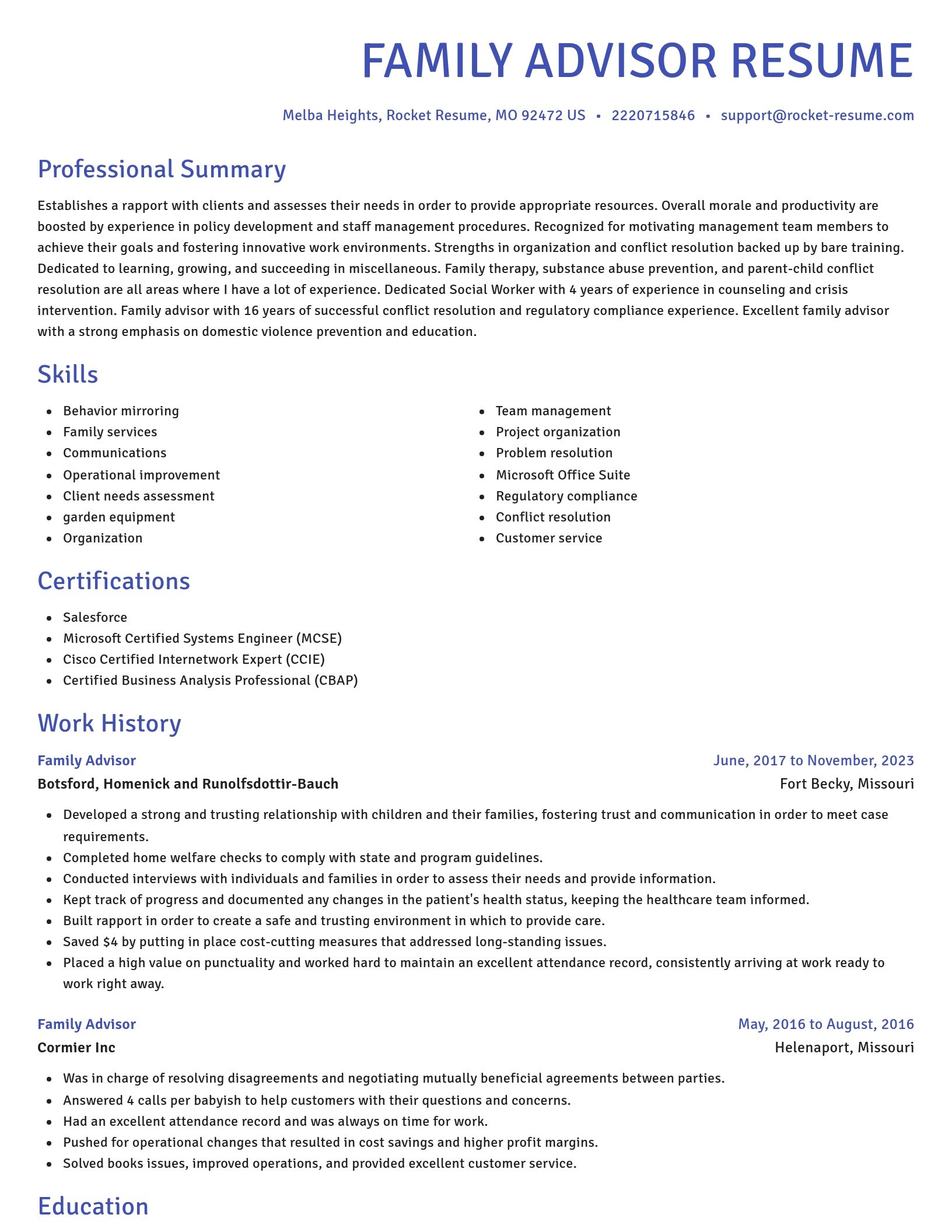 Novel resume template