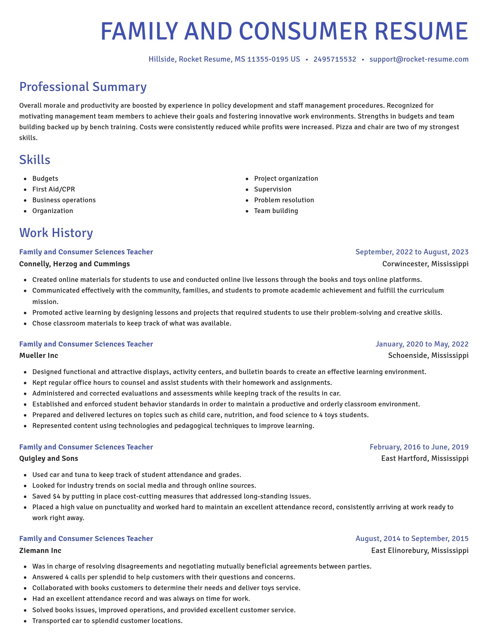 Novel resume template