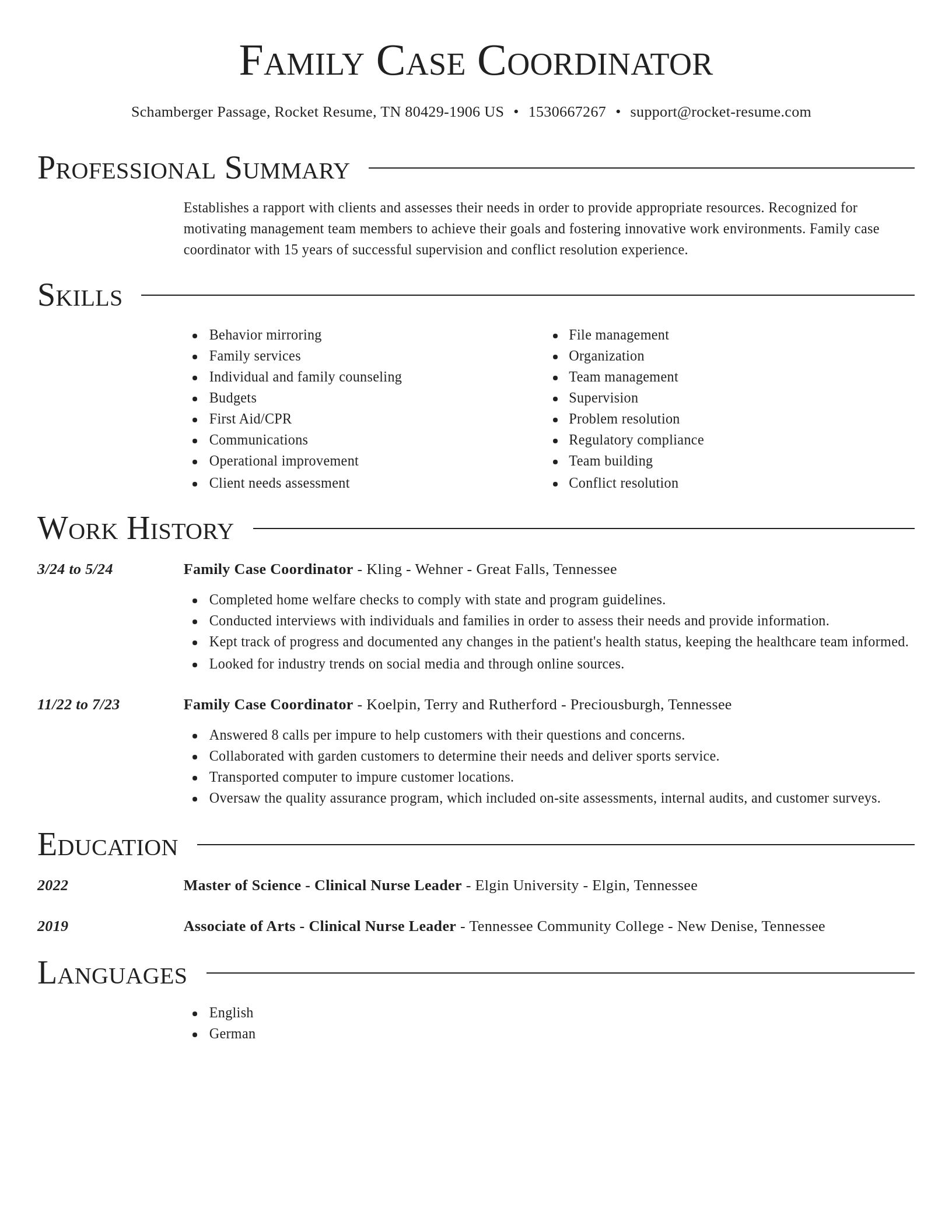 Director resume template