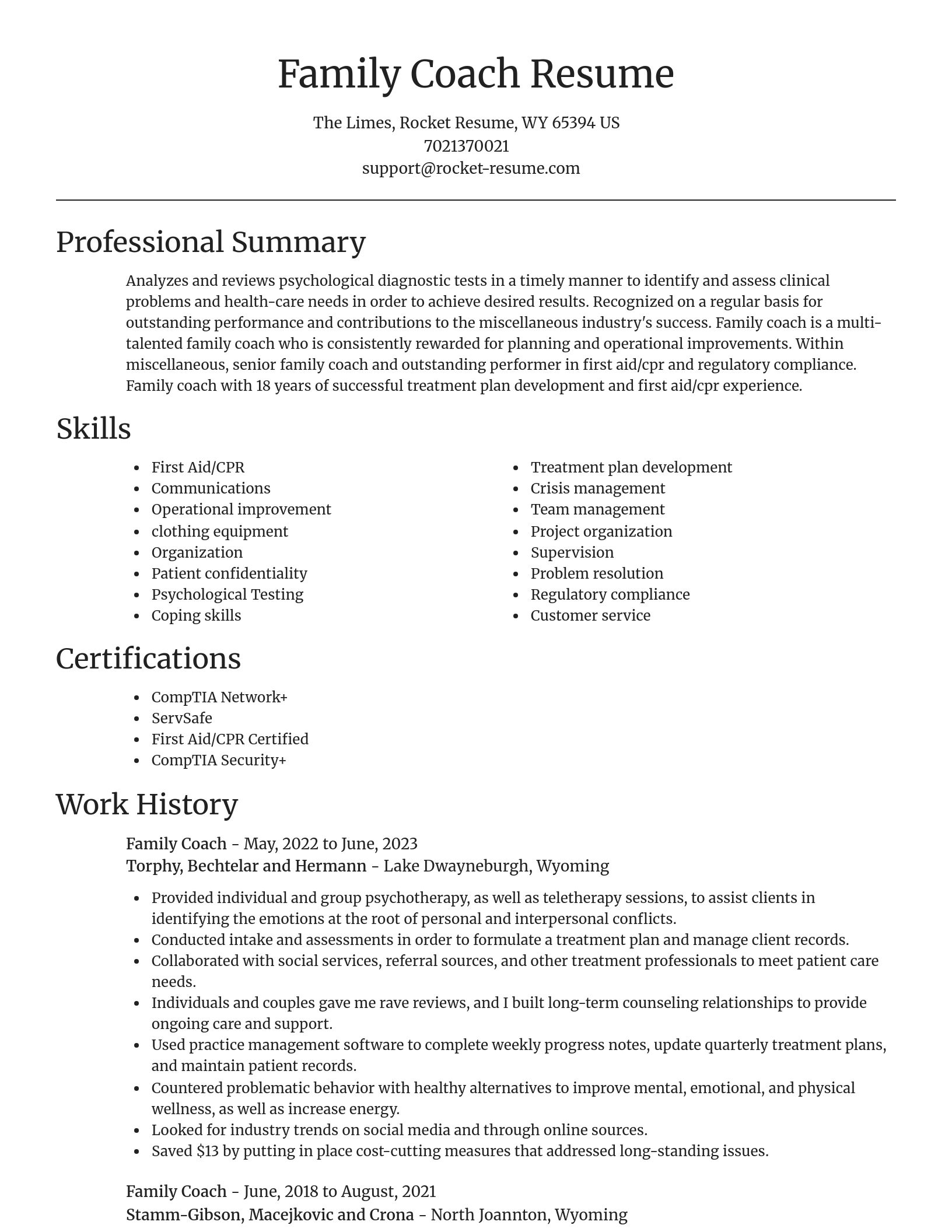 Focal Point resume template