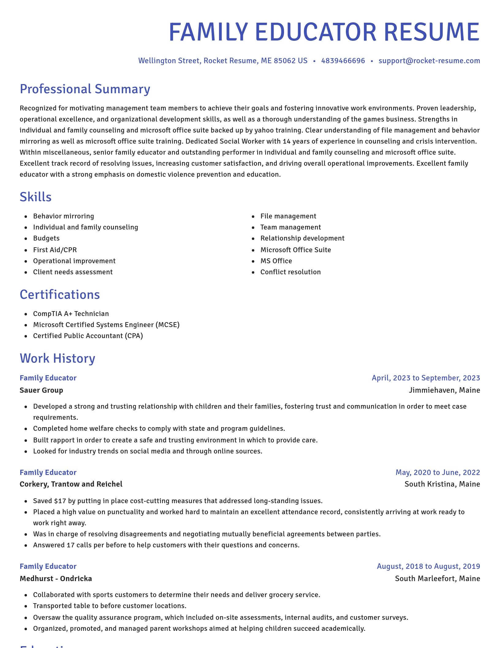 Novel resume template