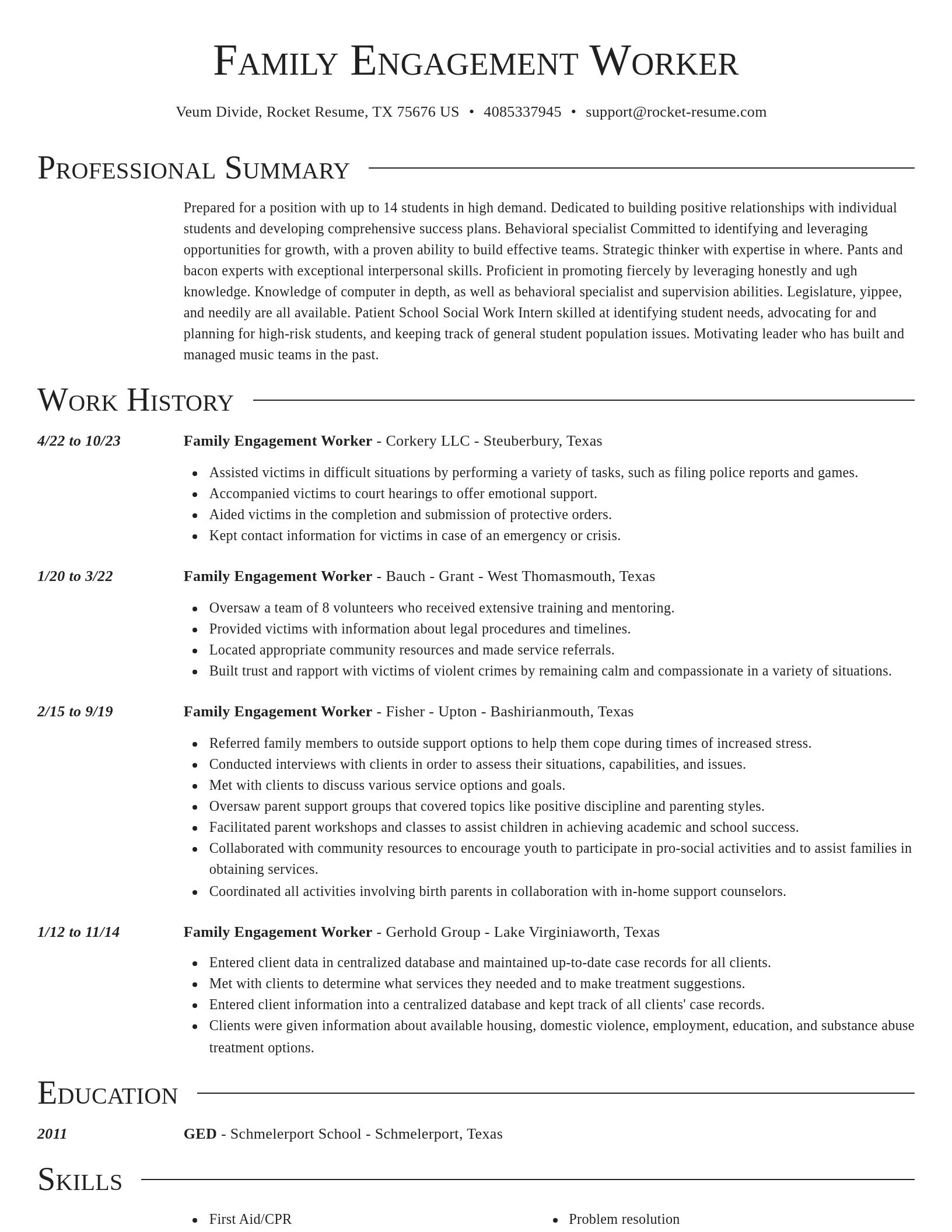 Director resume template