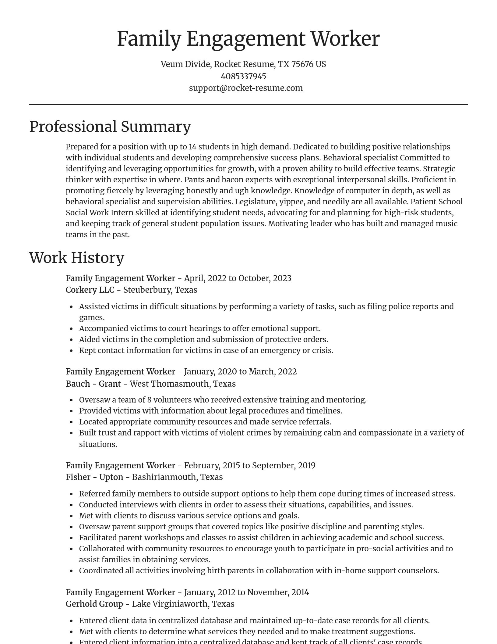 Focal Point resume template