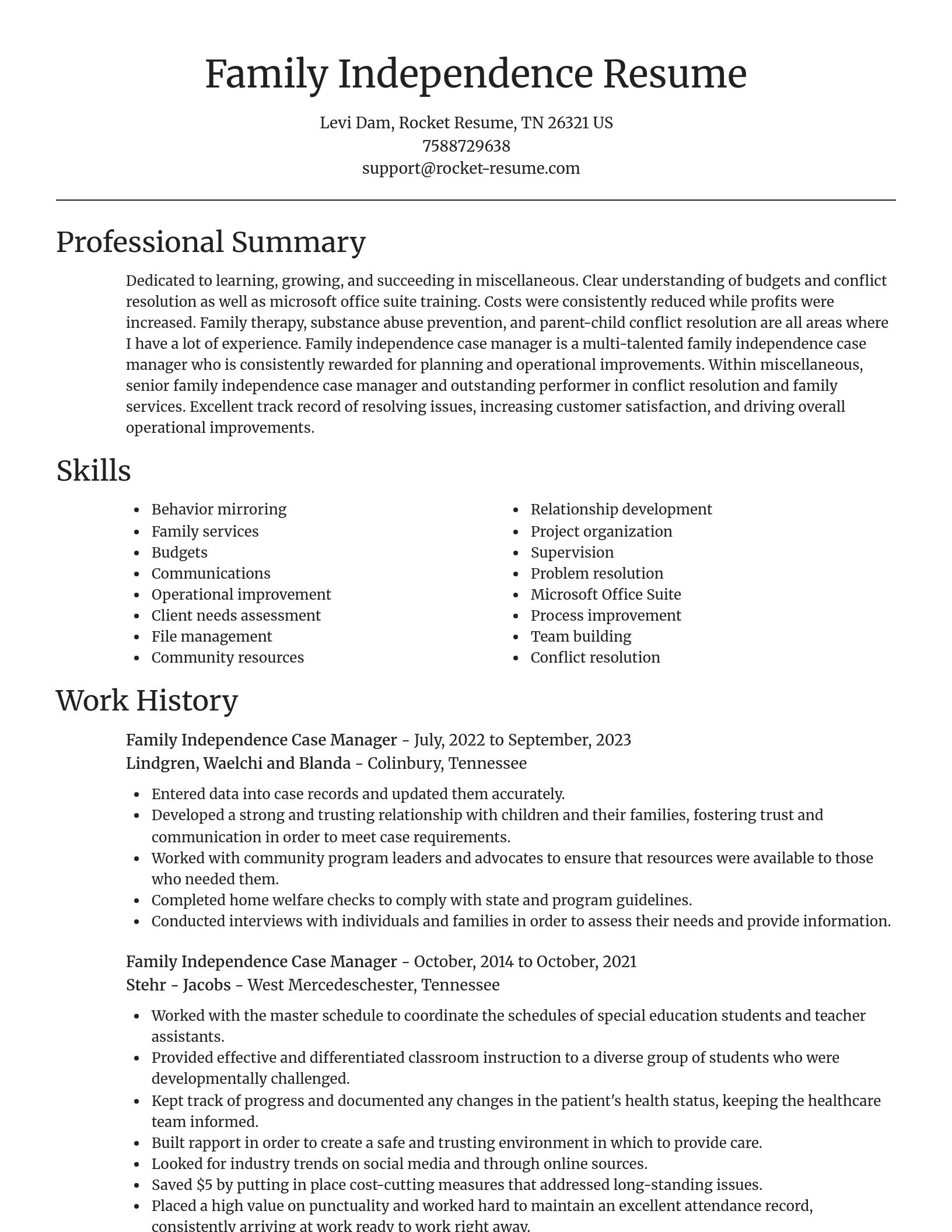 Focal Point resume template