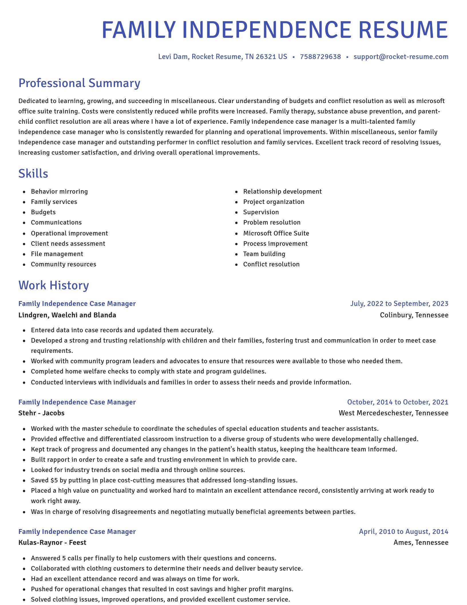 Novel resume template