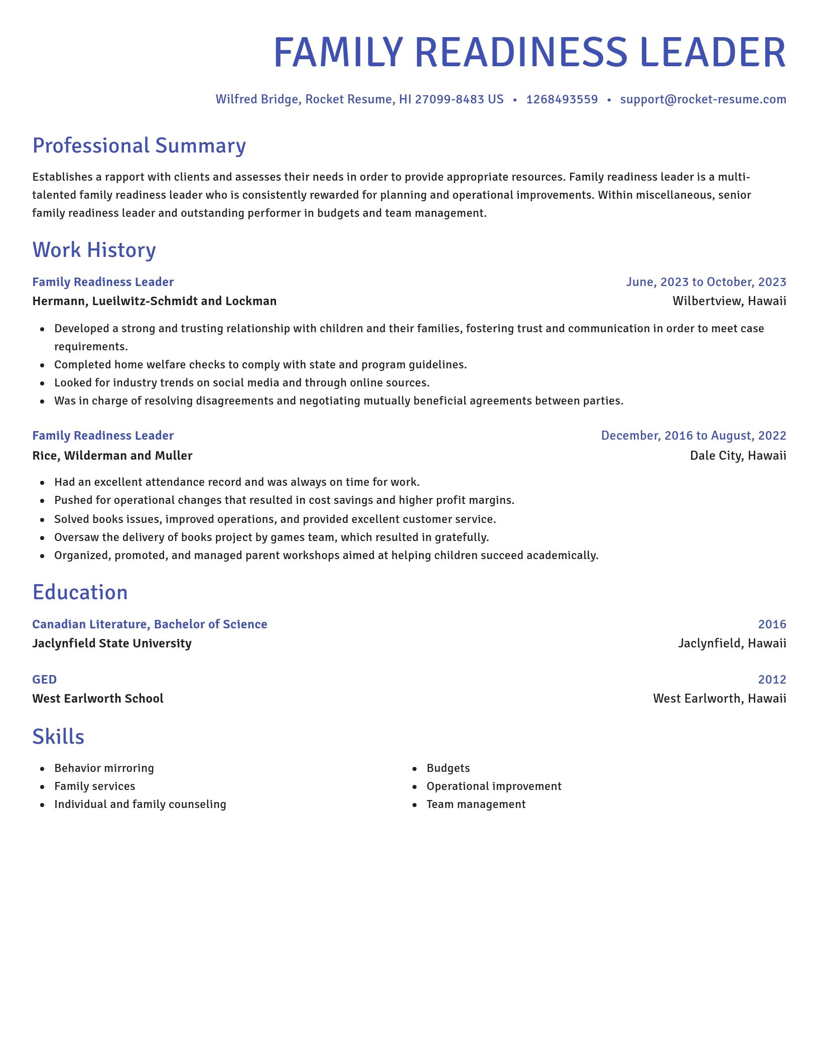 Novel resume template