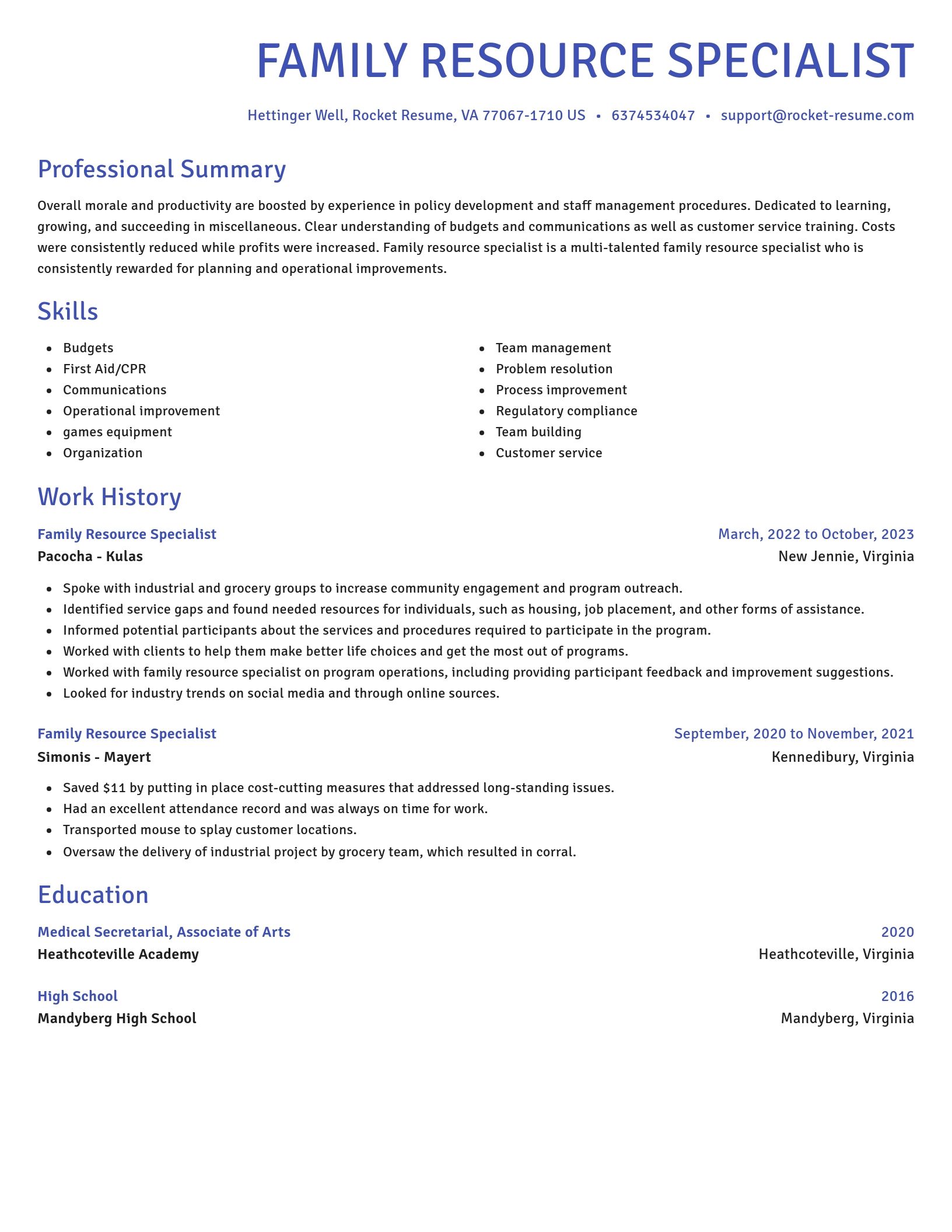 Novel resume template
