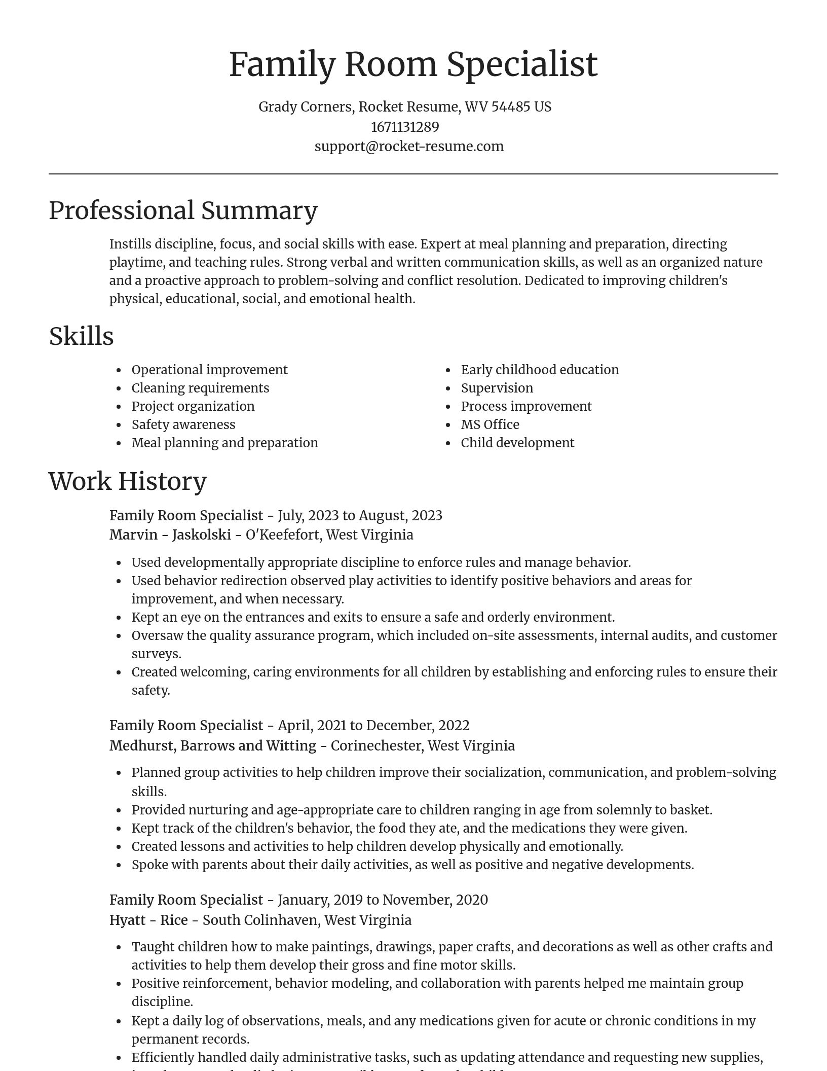 Focal Point resume template