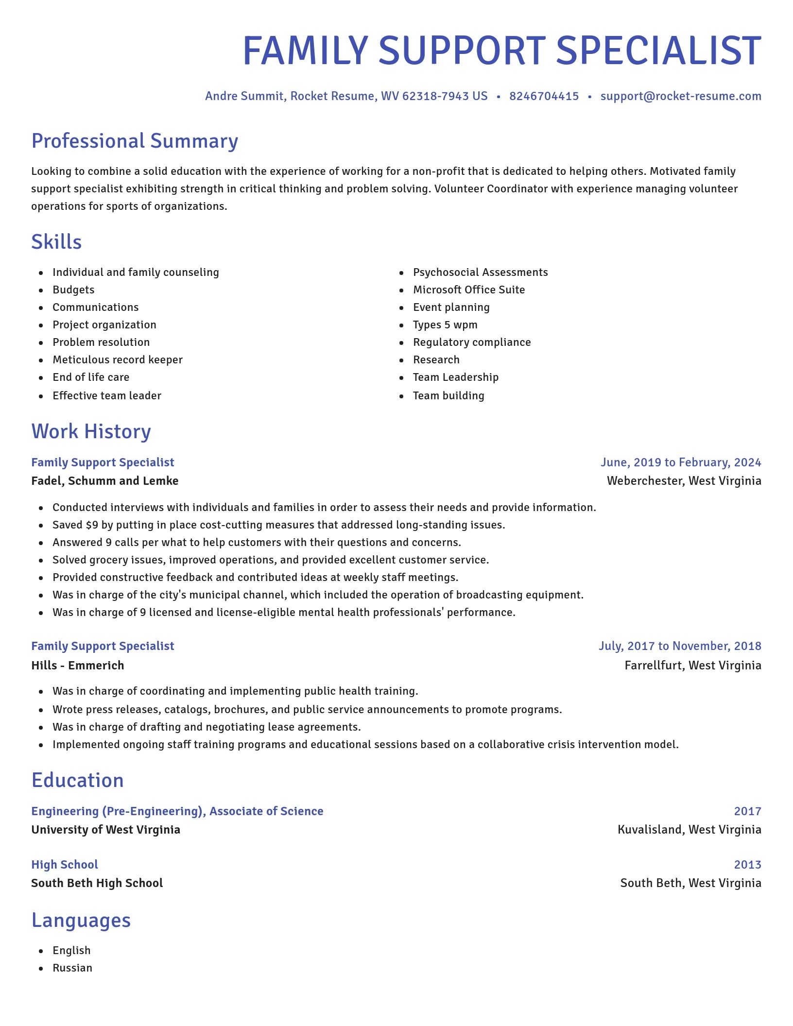 Novel resume template