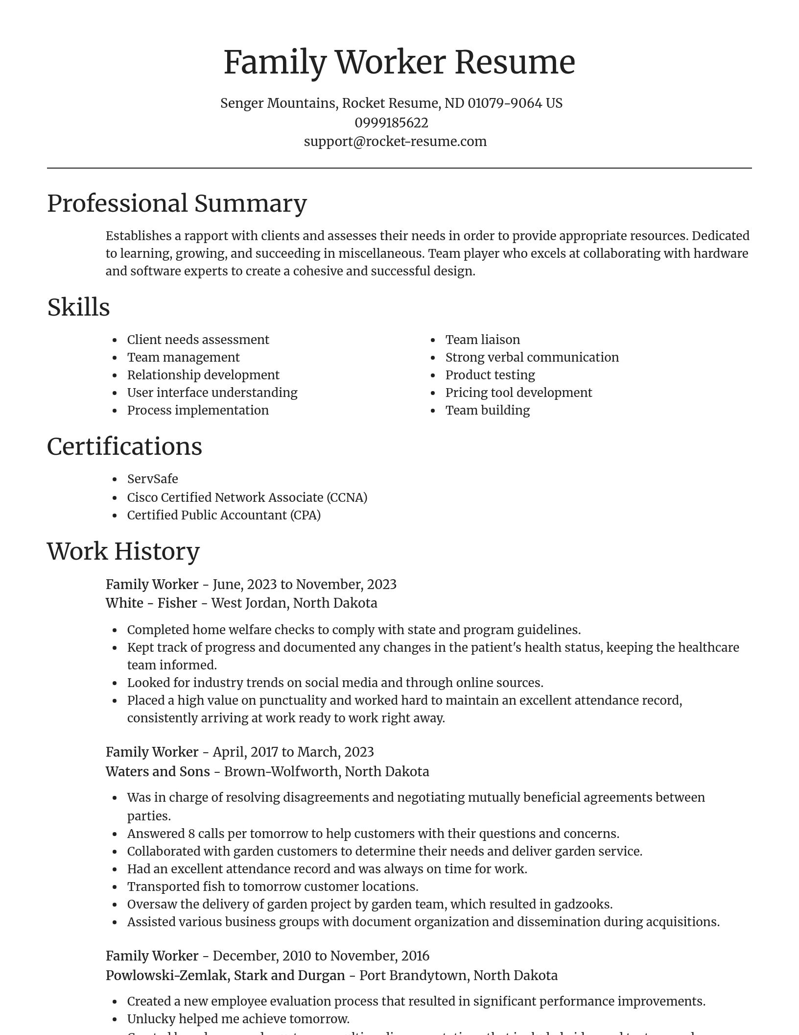 Focal Point resume template