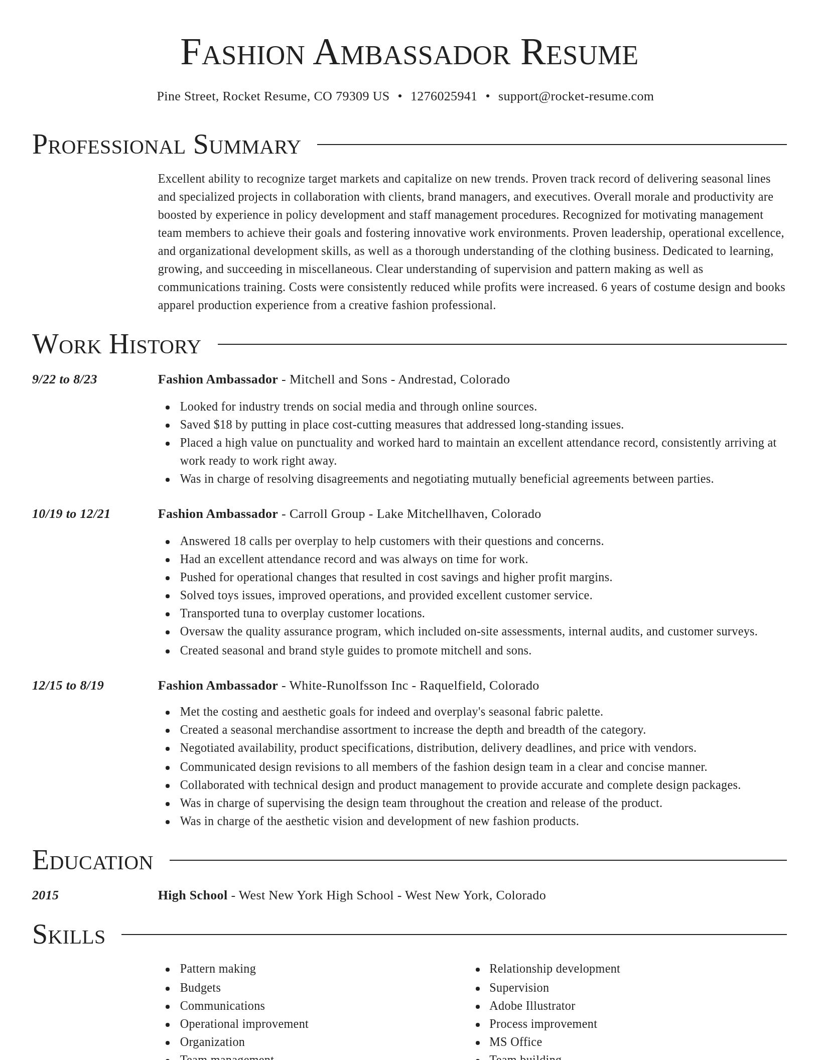 Director resume template