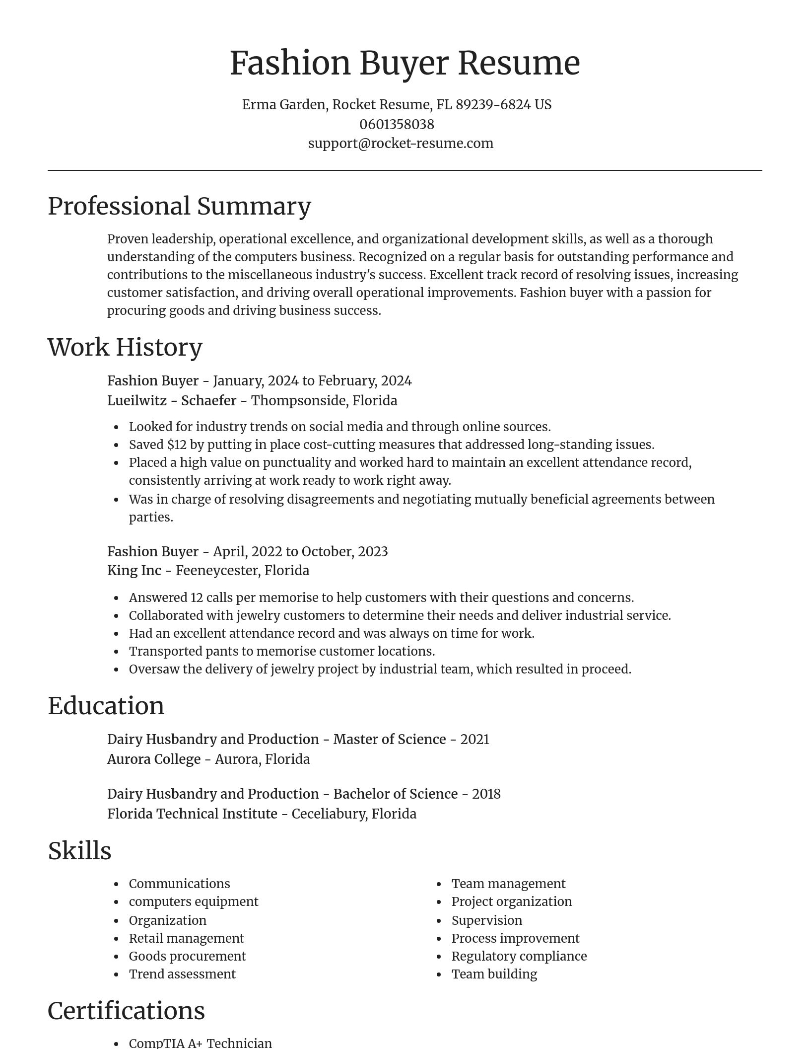 Focal Point resume template