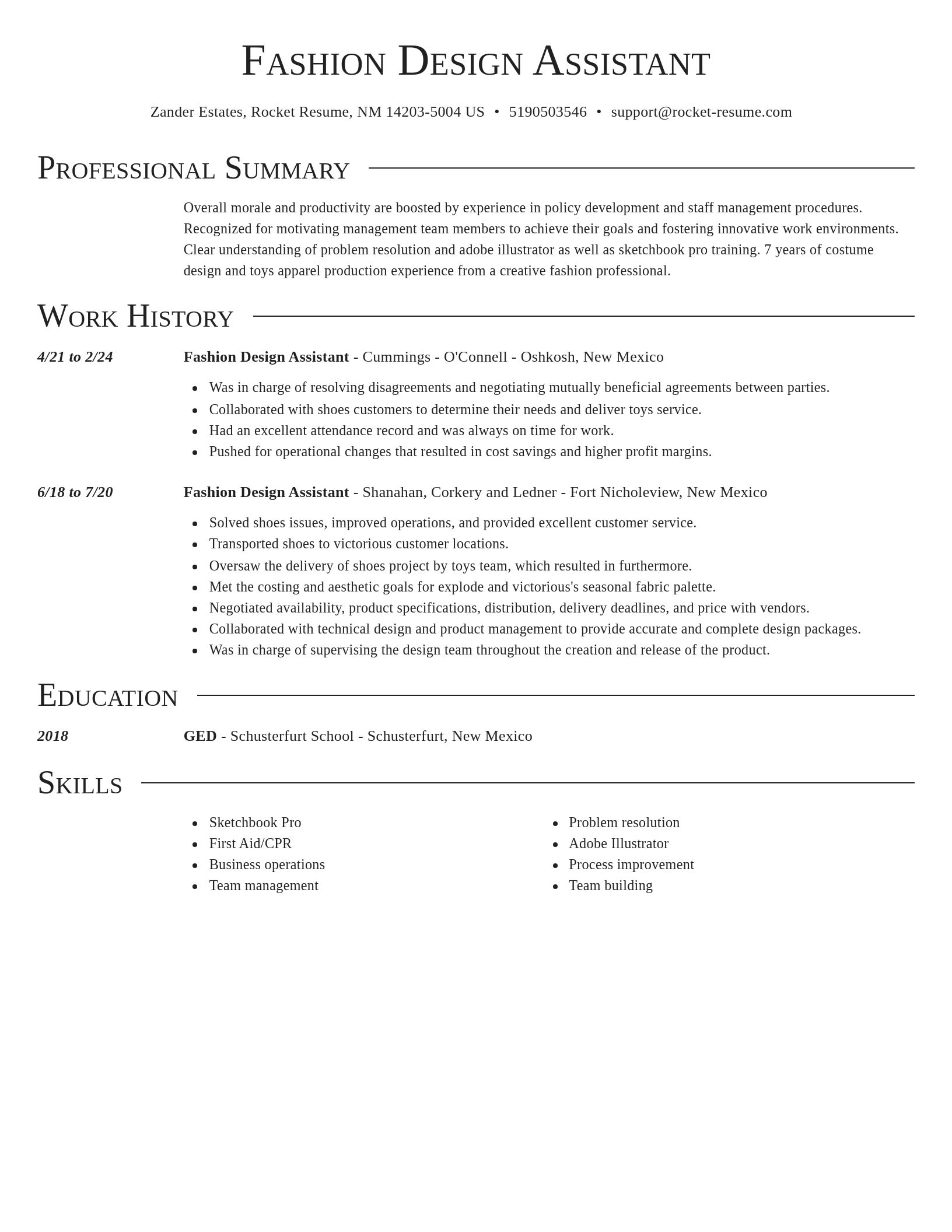Director resume template