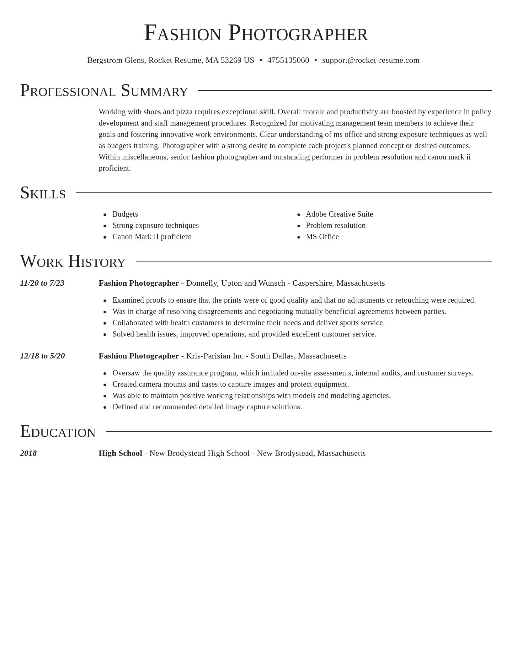 Director resume template