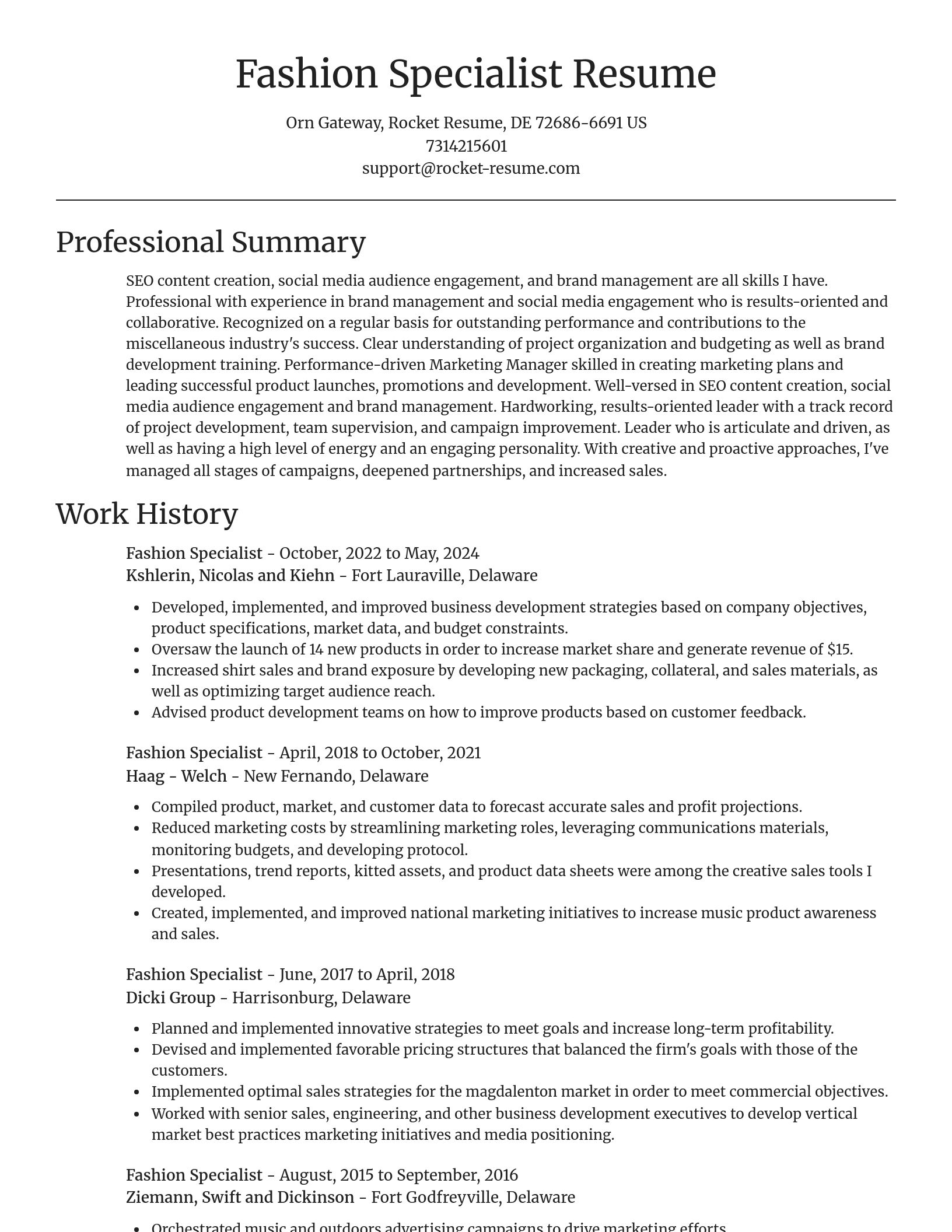 Focal Point resume template