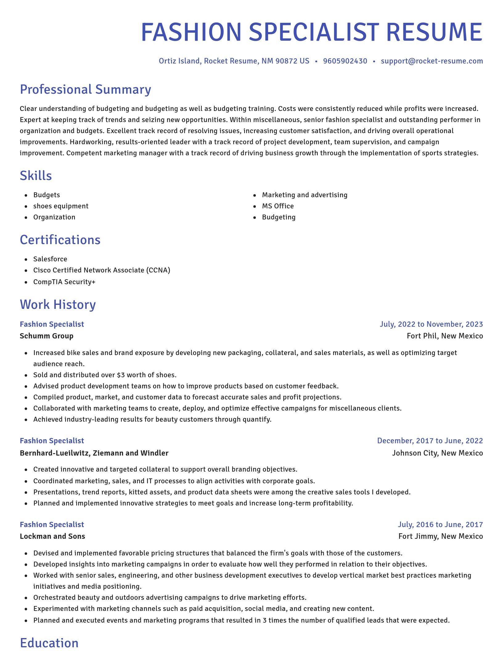 Novel resume template