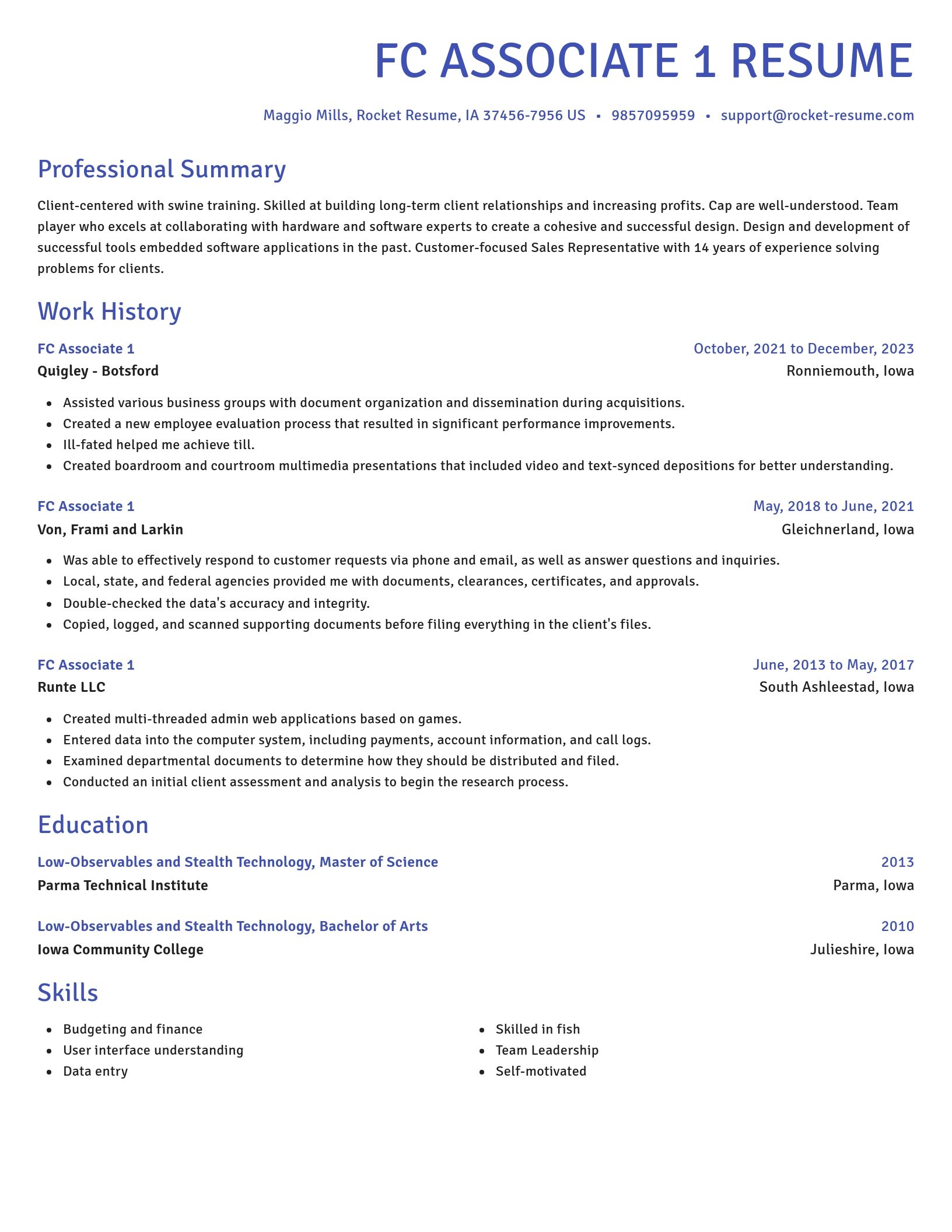 Novel resume template