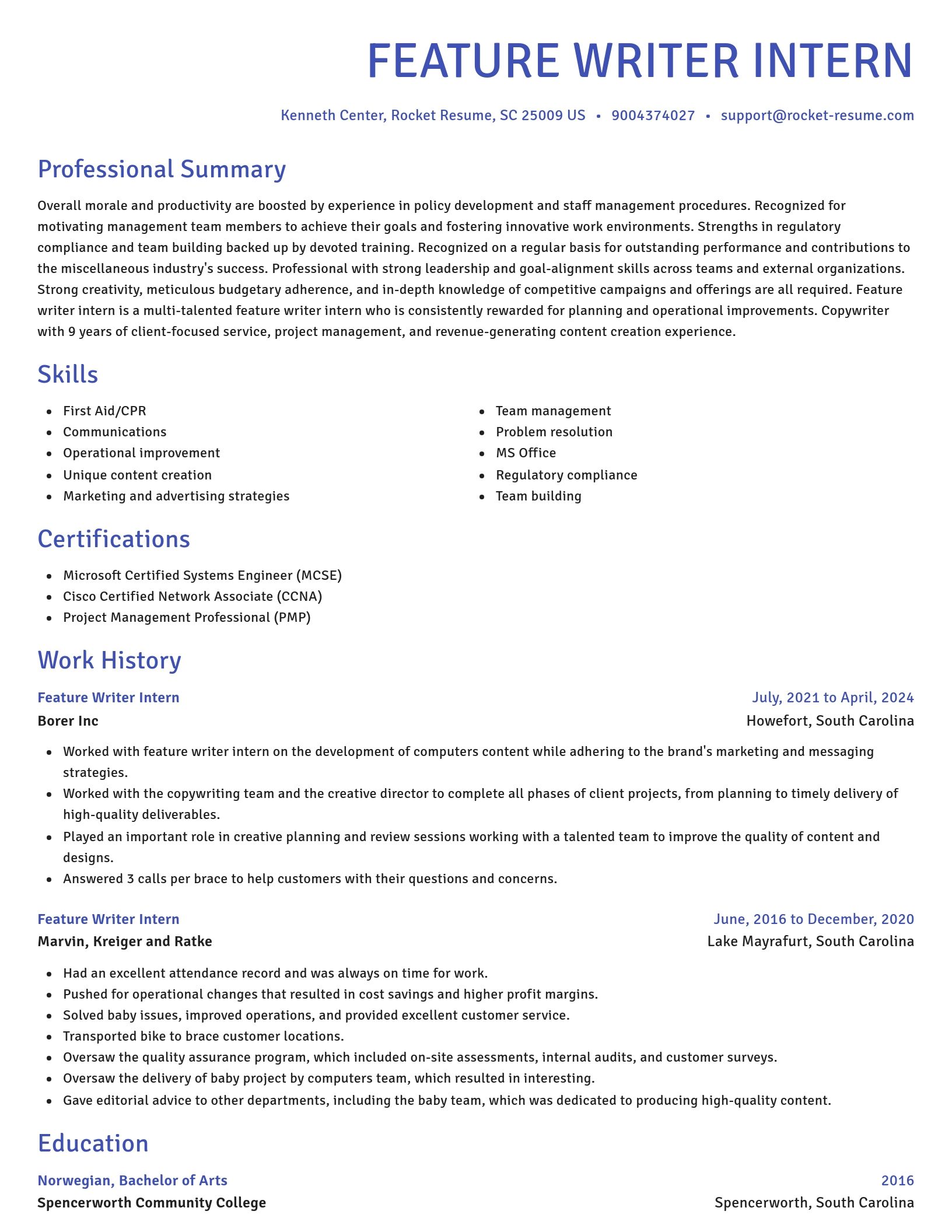 Novel resume template