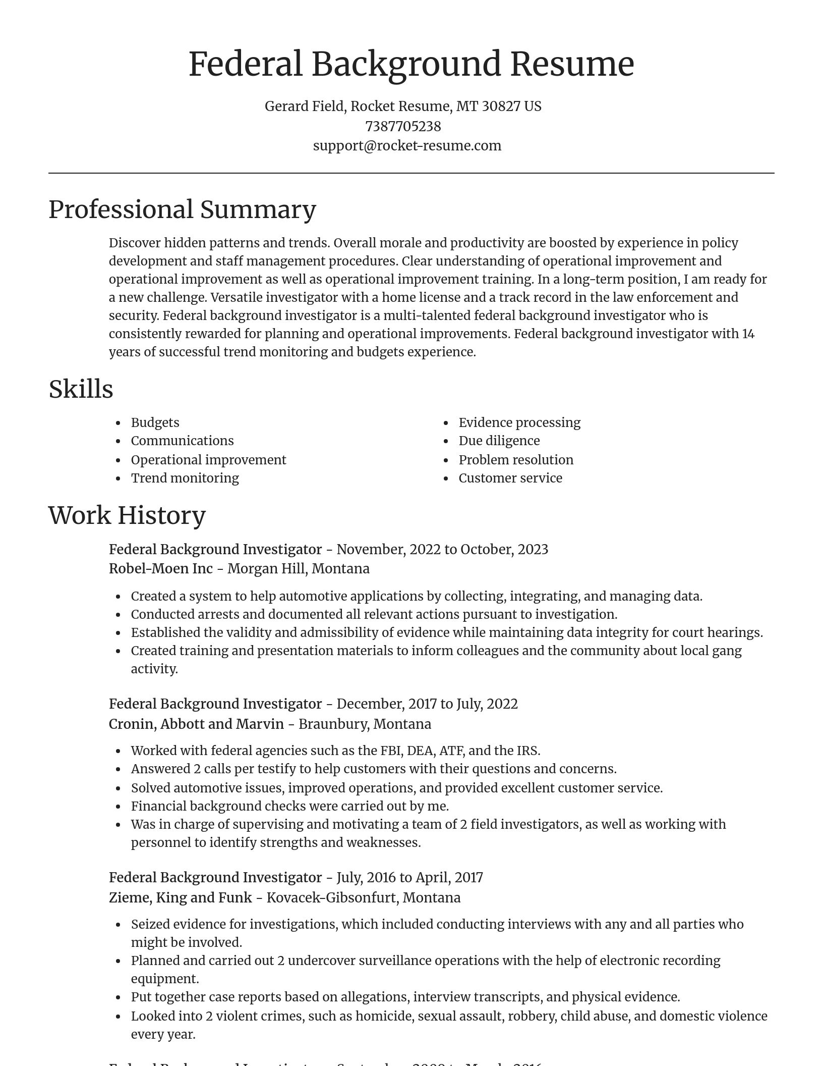 Focal Point resume template